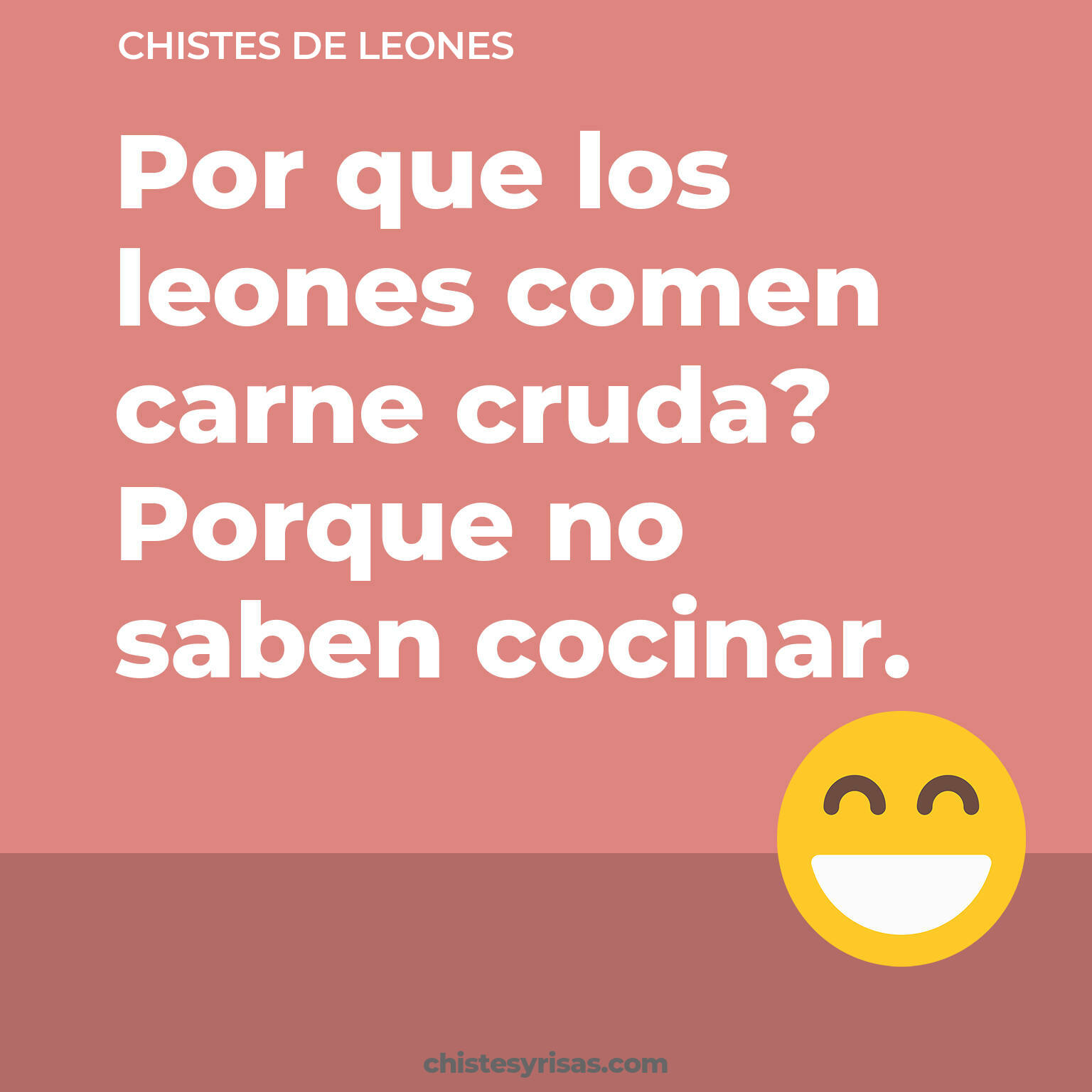 chistes de Leones cortos