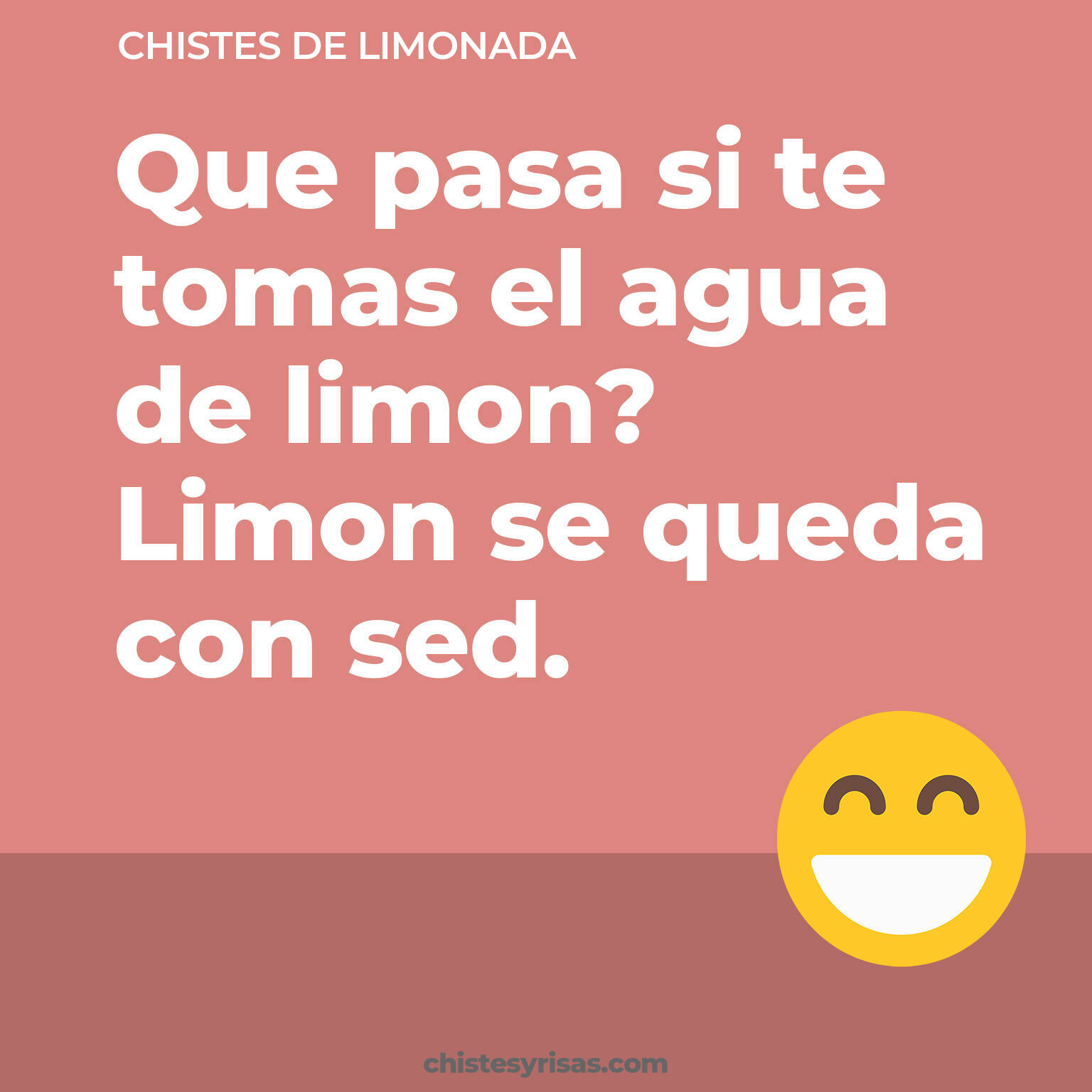 chistes de Limonada buenos