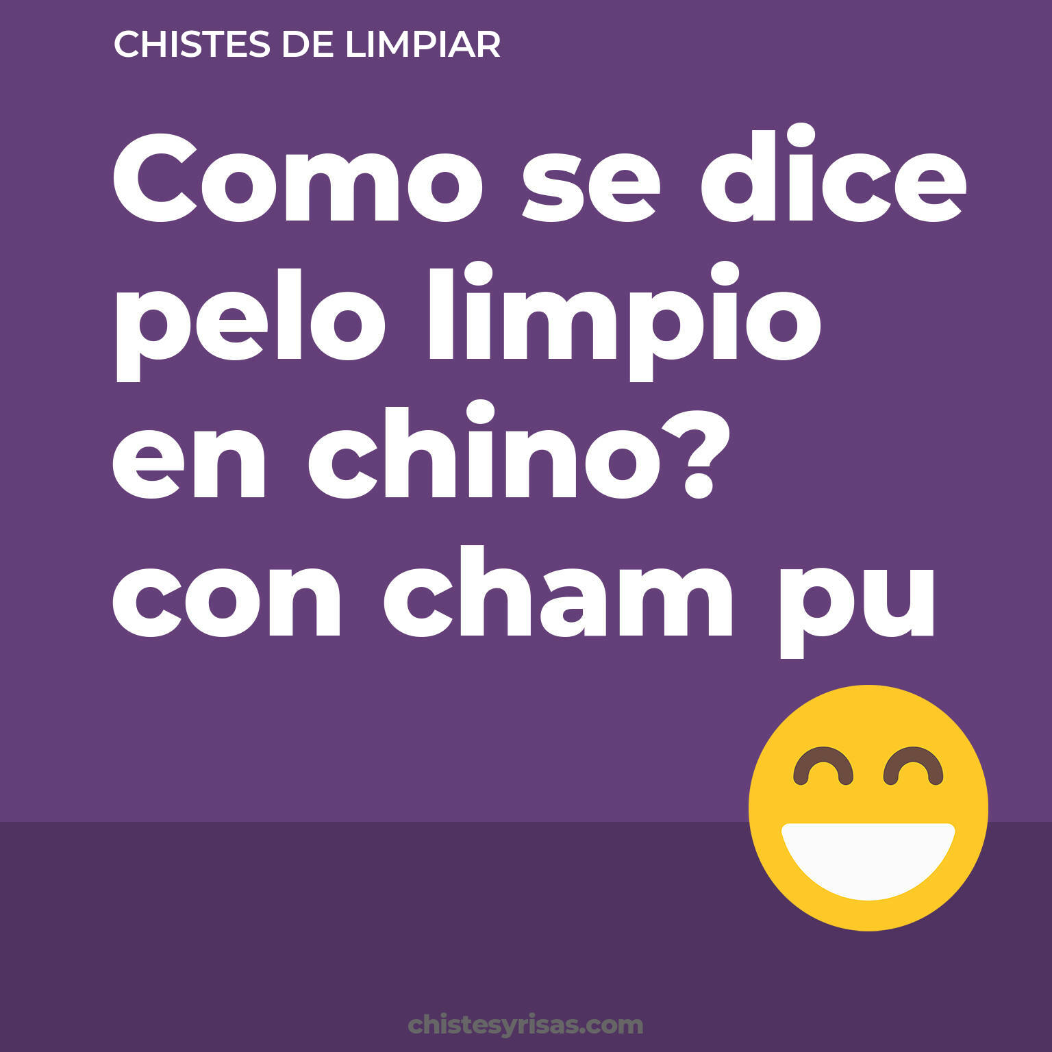 chistes de Limpiar cortos