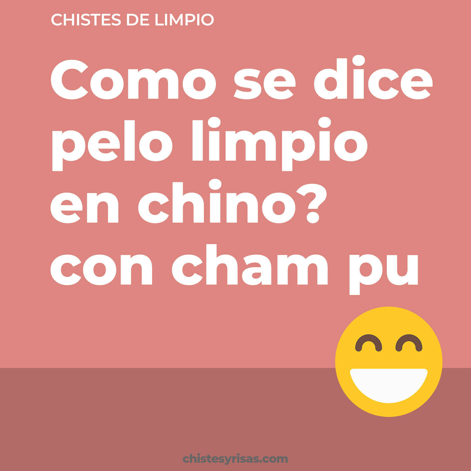 chistes de Limpio cortos