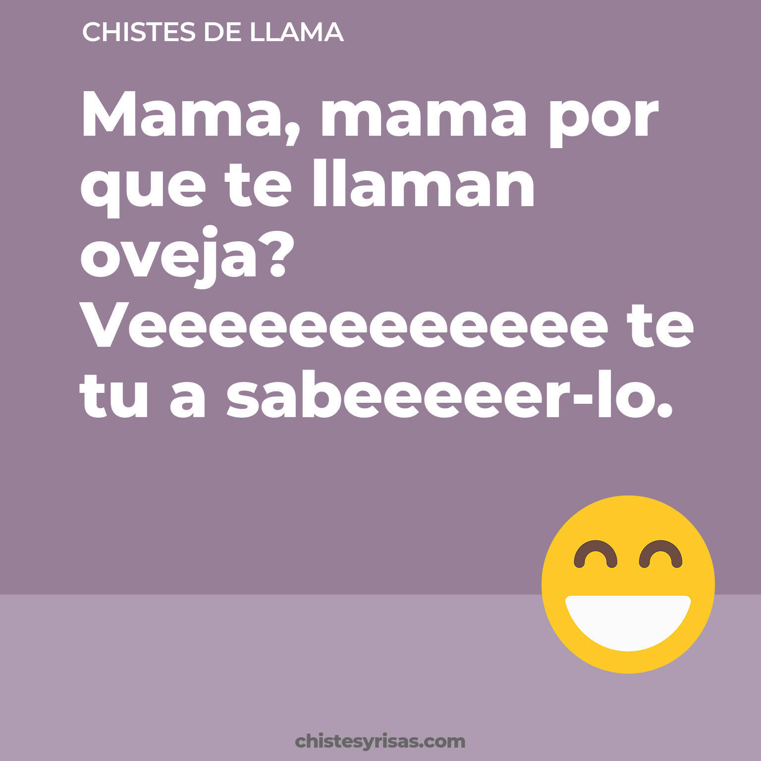 chistes de Llama más graciosos