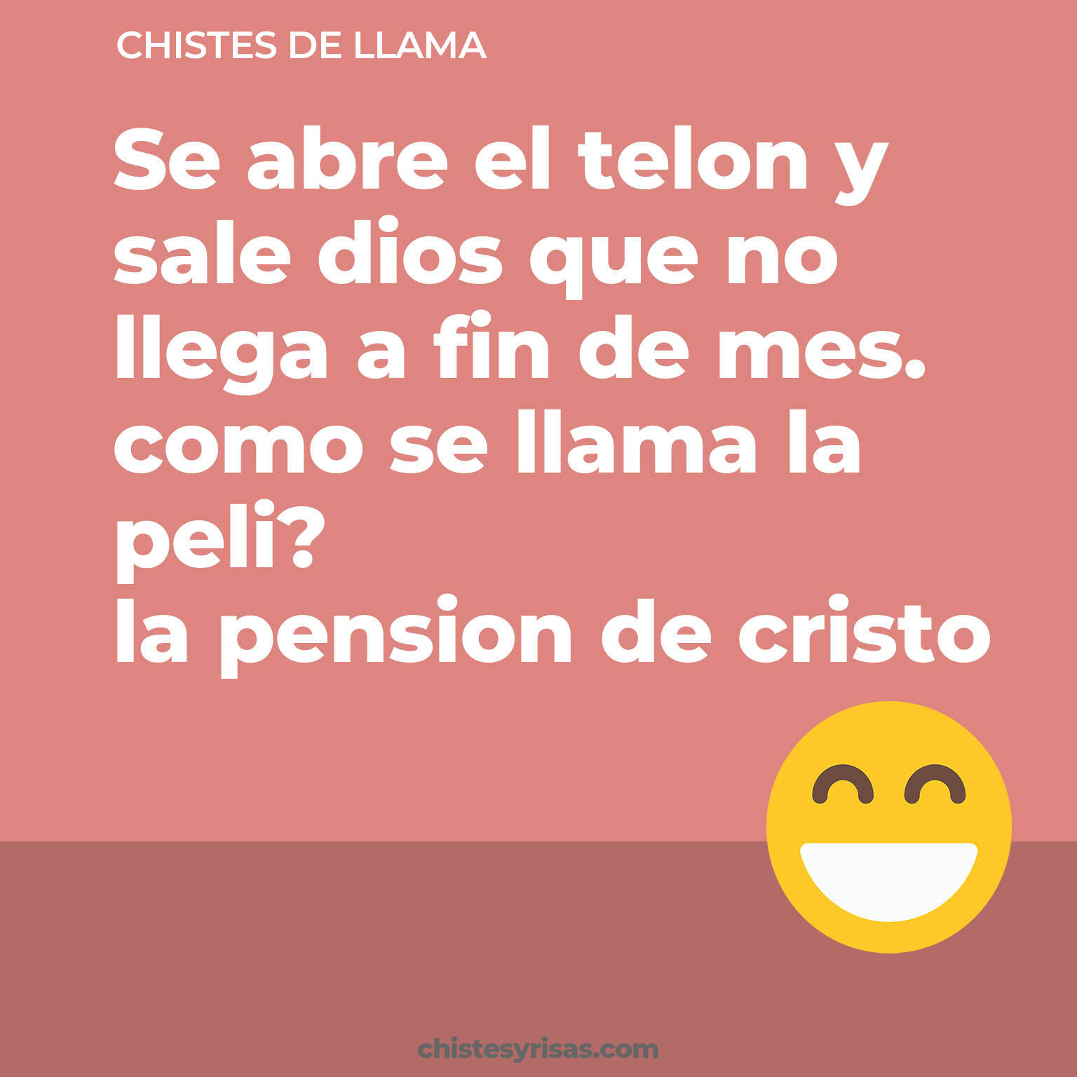 chistes de Llama cortos