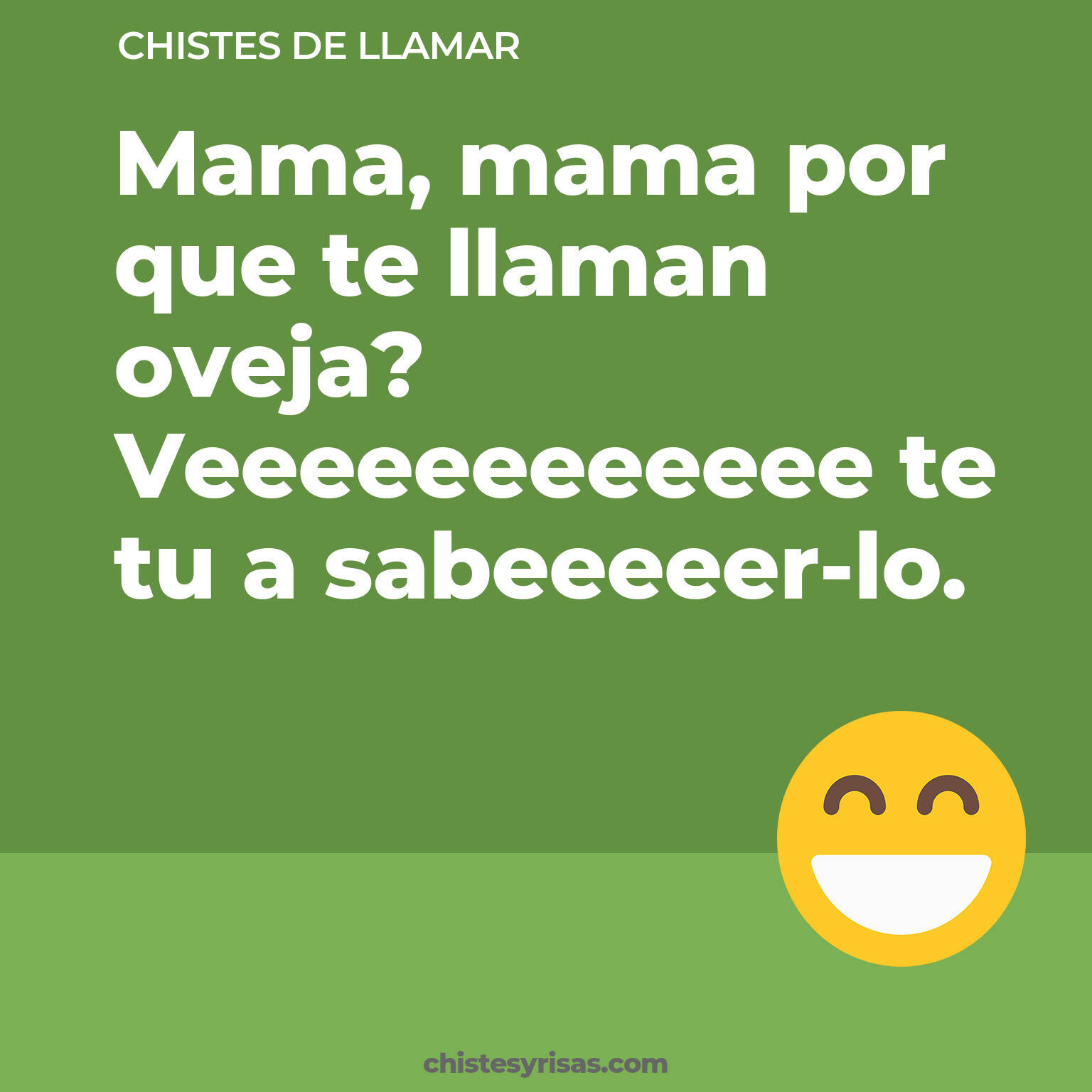 chistes de Llamar más graciosos