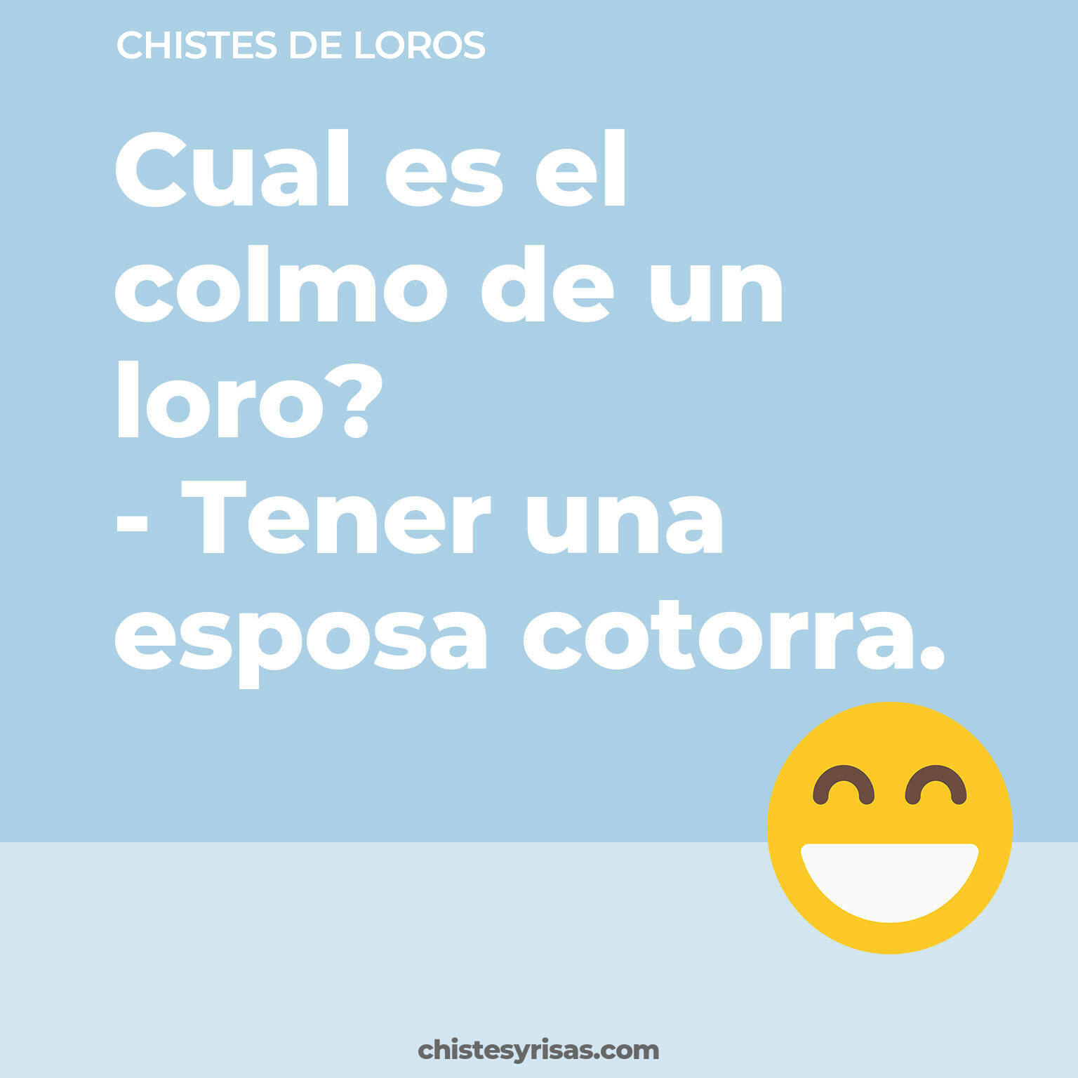 chistes de Loros buenos