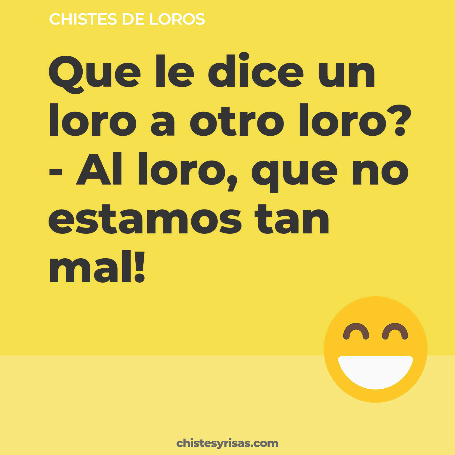 chistes de Loros cortos