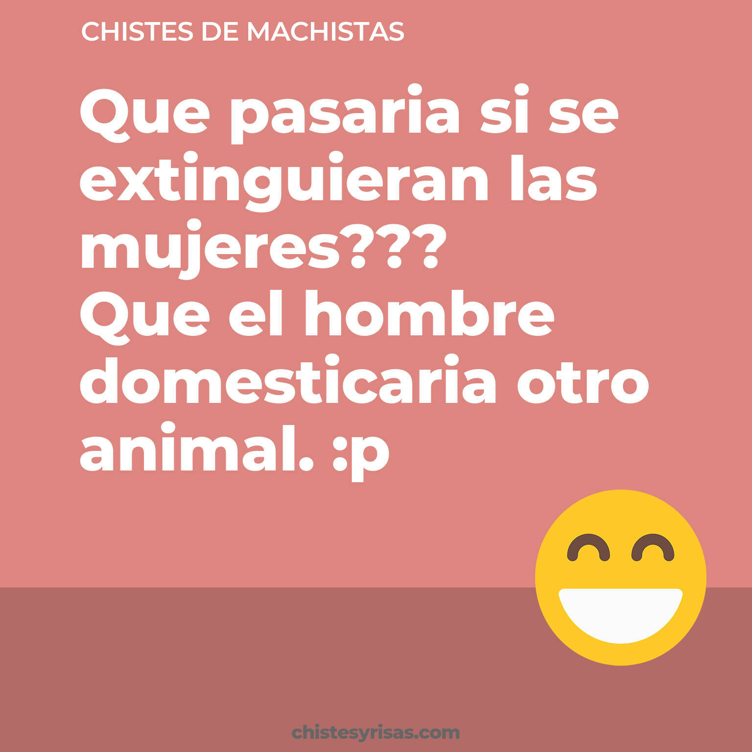 chistes de Machistas buenos