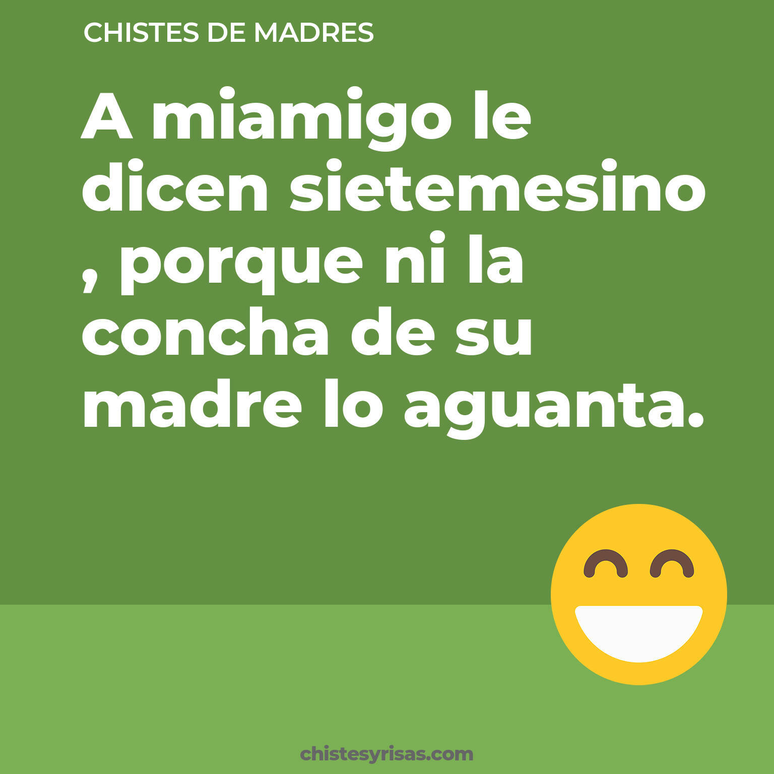 chistes de Madres cortos