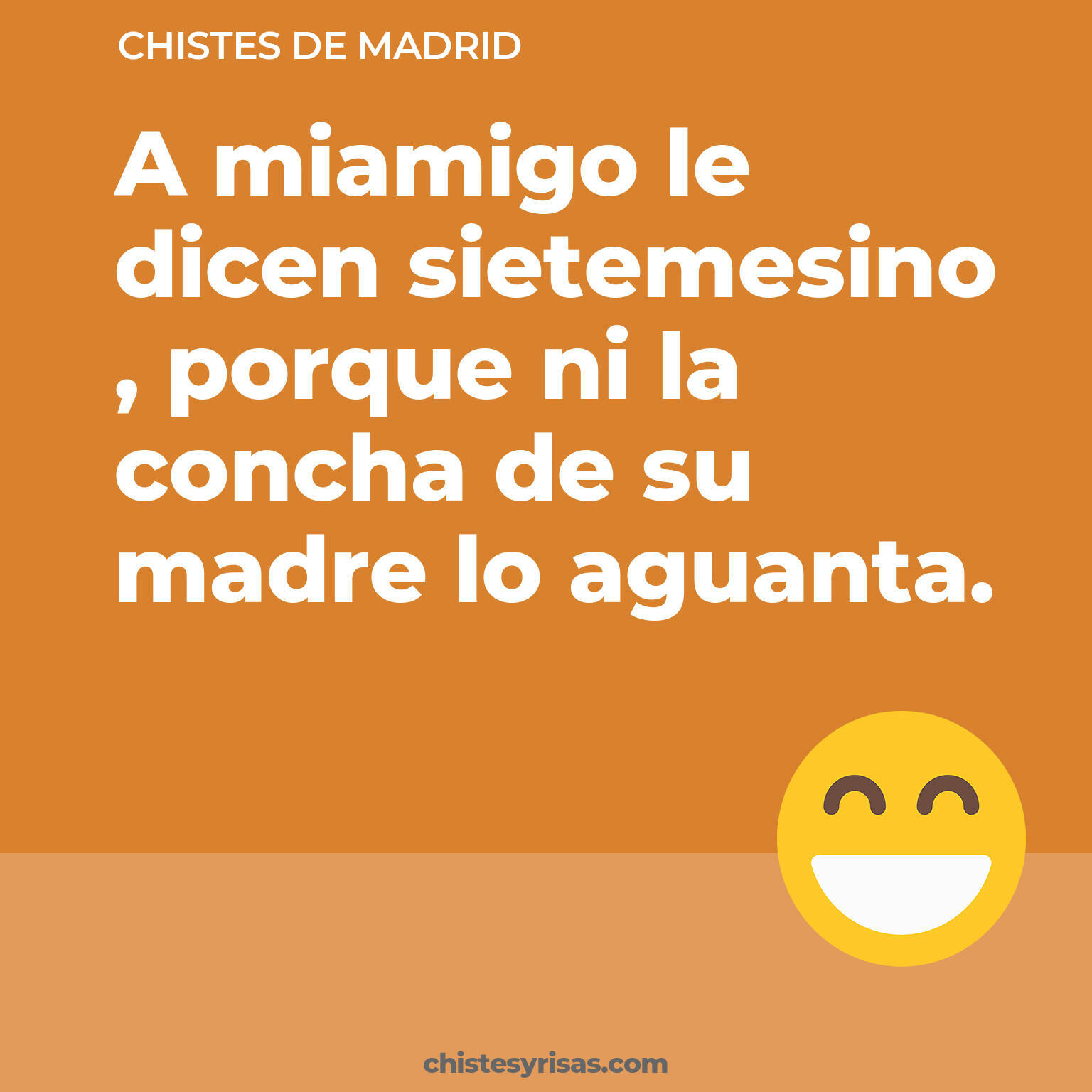 chistes de Madrid cortos