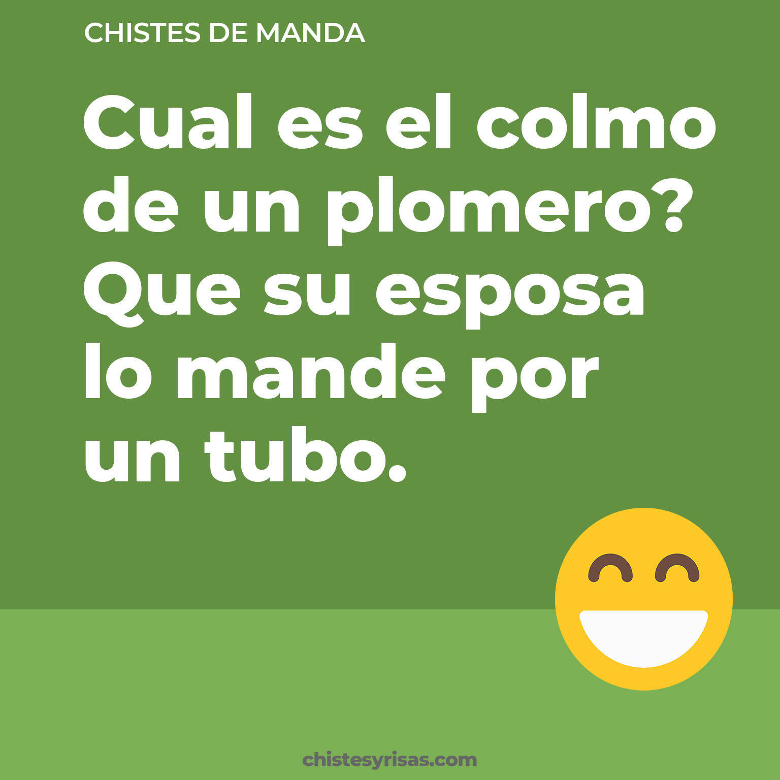 chistes de Manda cortos