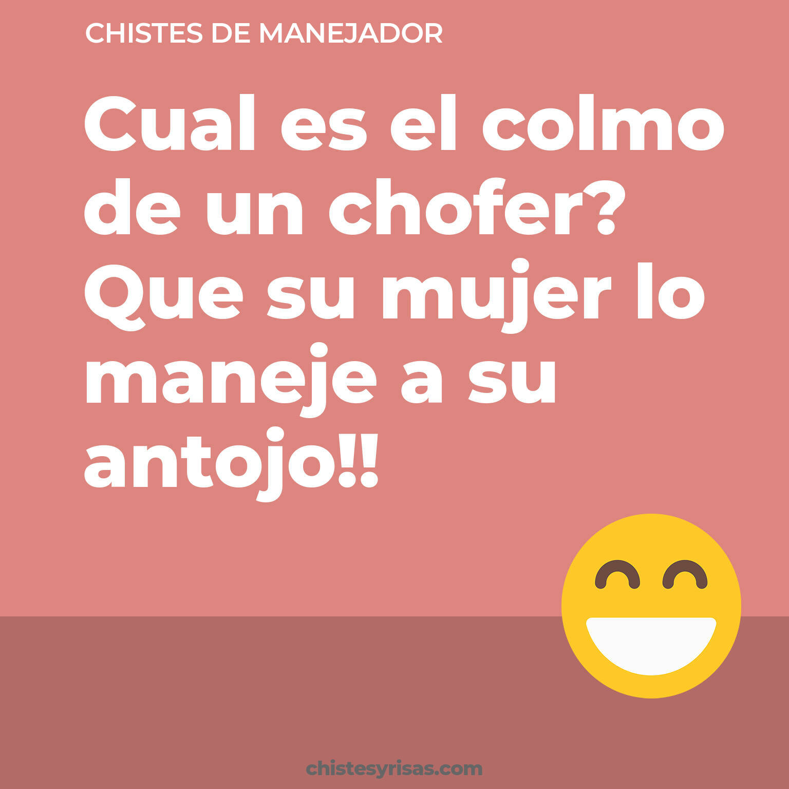 chistes de Manejador más graciosos