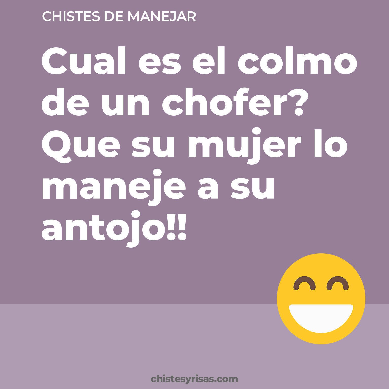 chistes de Manejar más graciosos