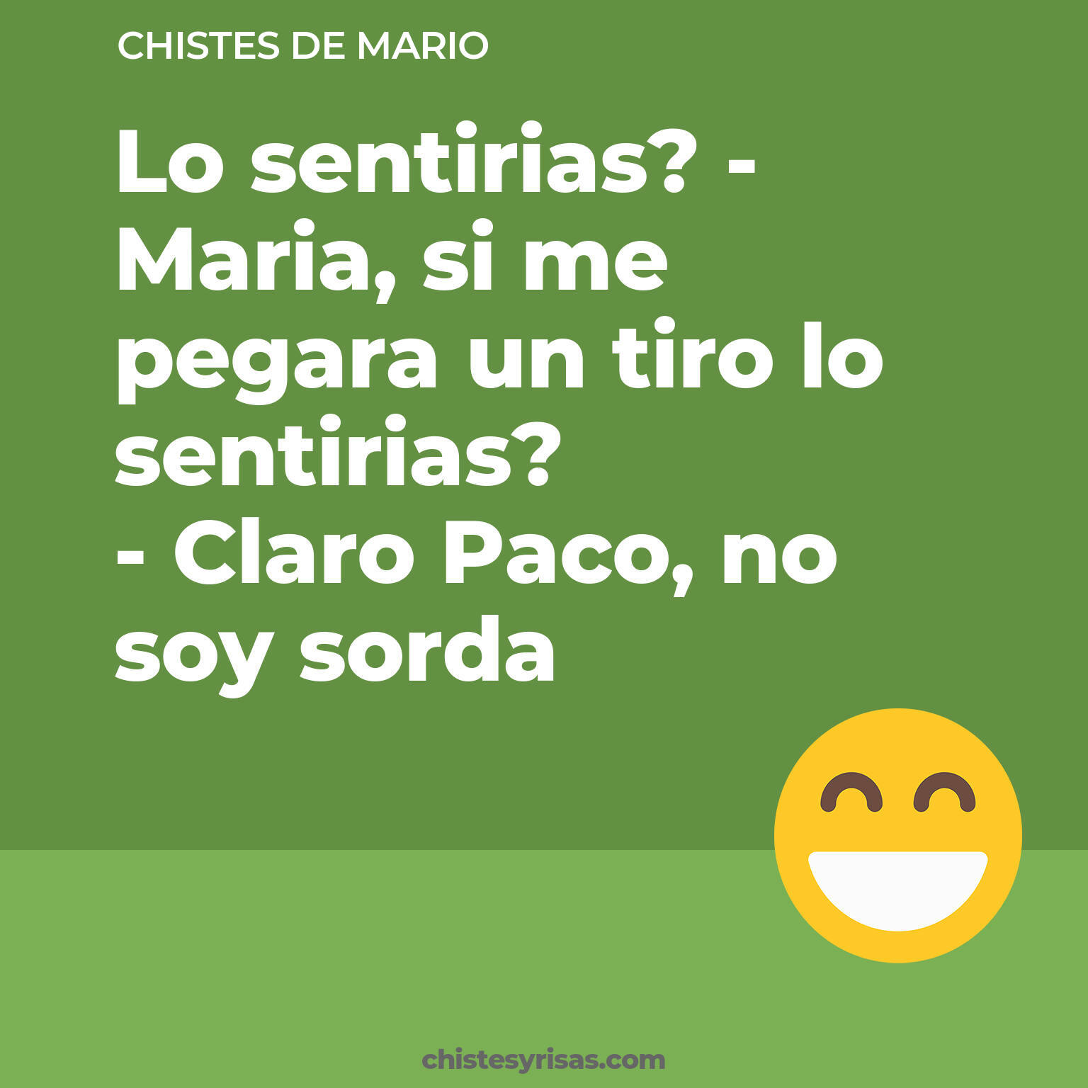 chistes de Mario cortos