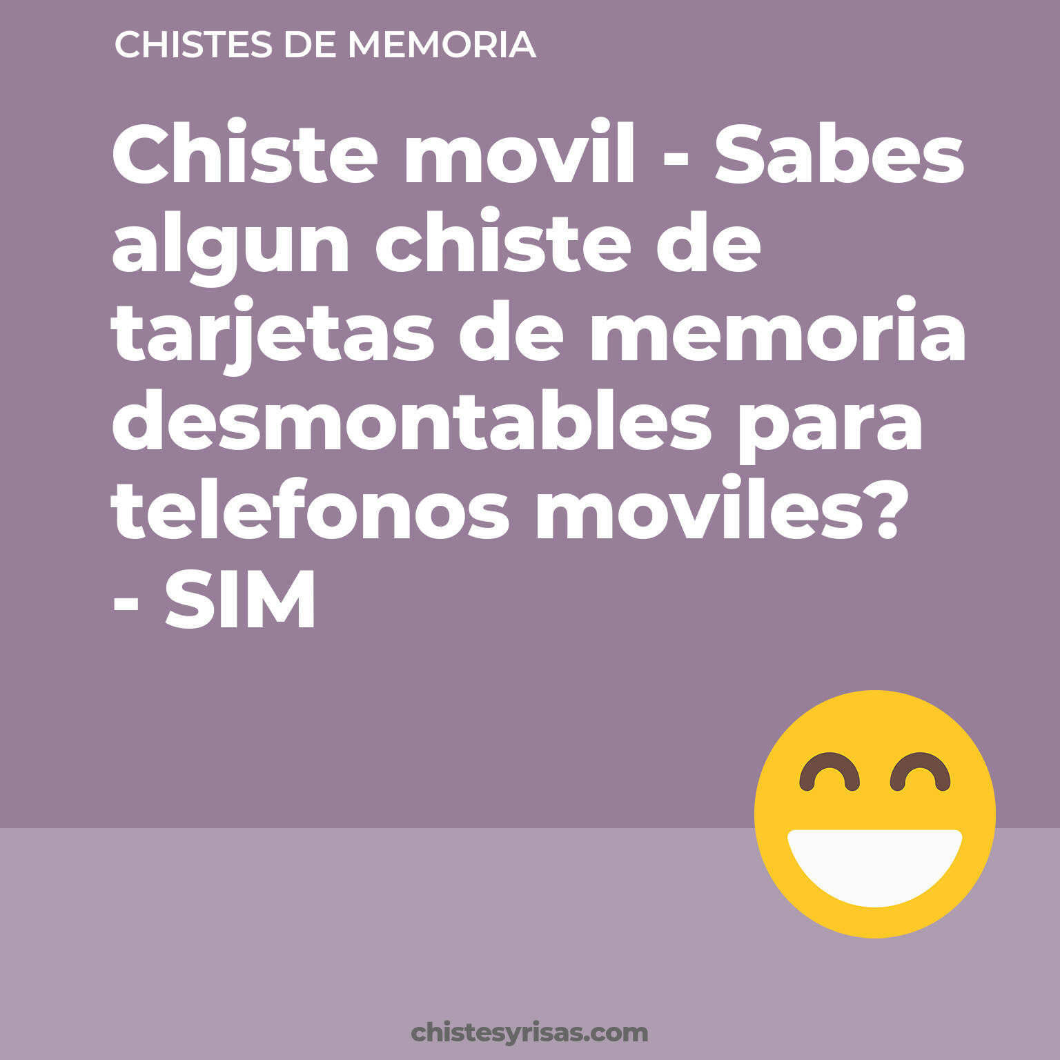 chistes de Memoria más graciosos