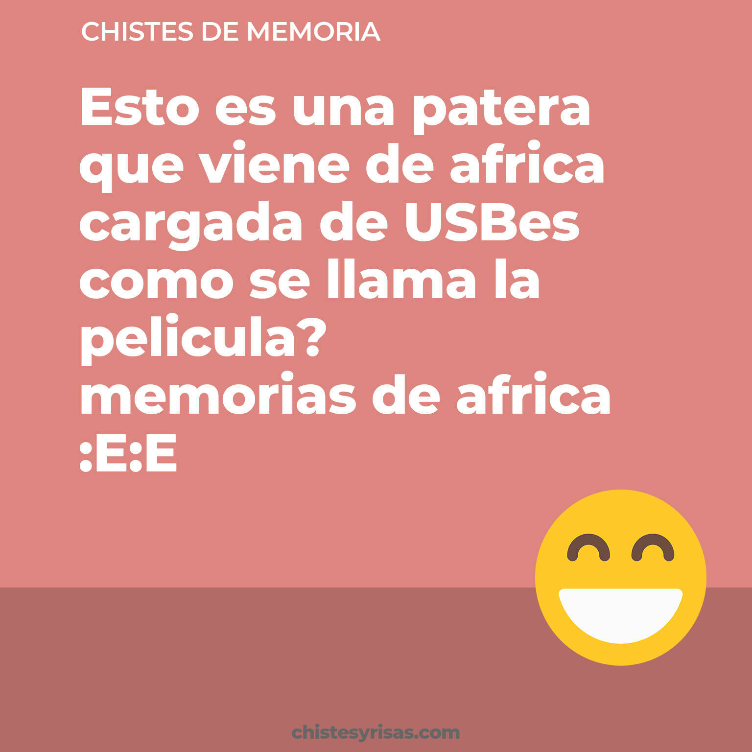 chistes de Memoria cortos