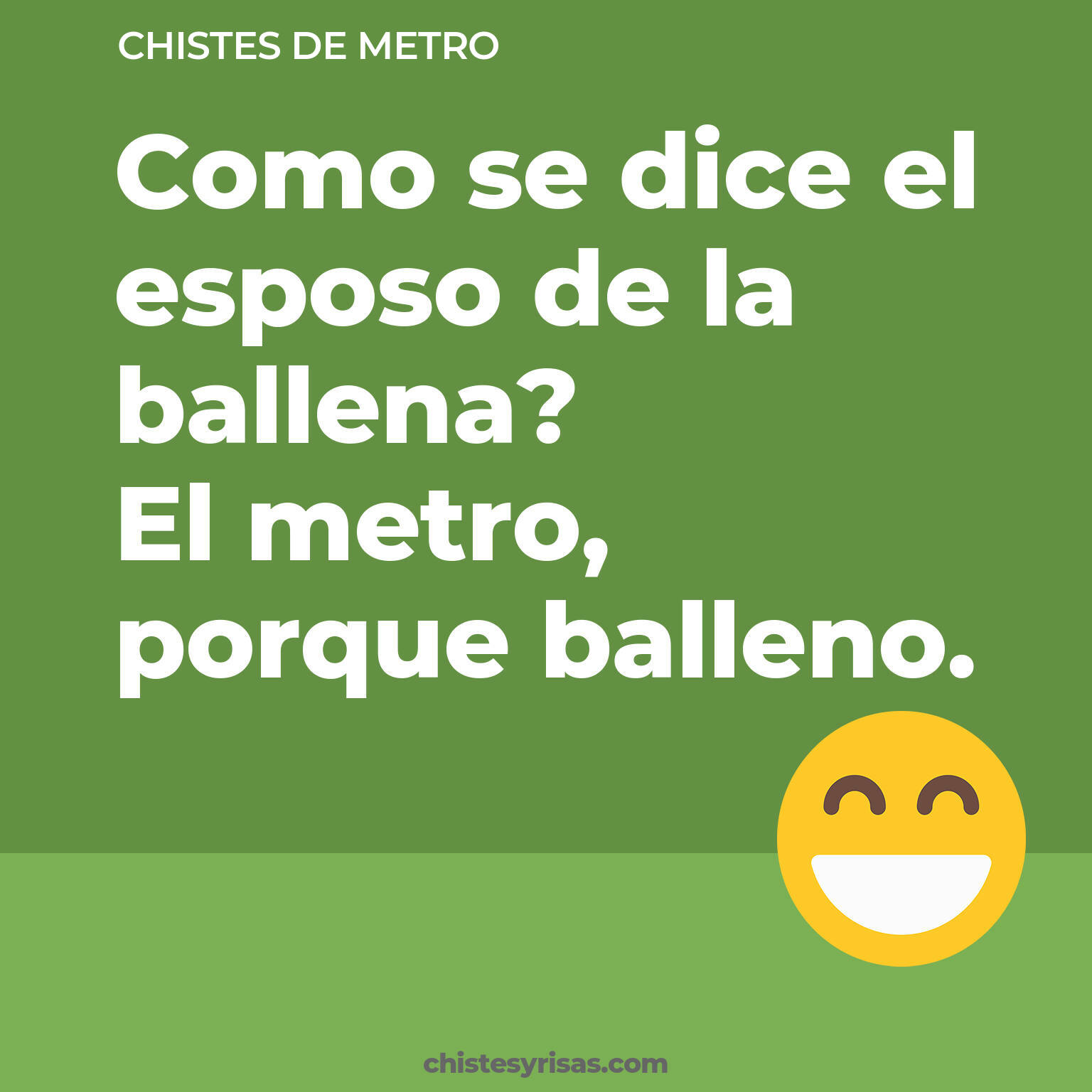 chistes de Metro cortos