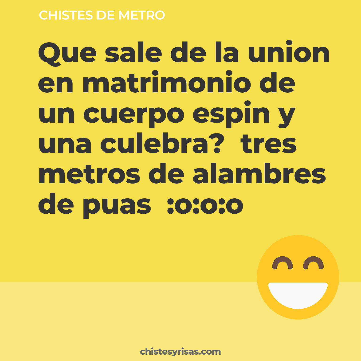 chistes de Metro más graciosos