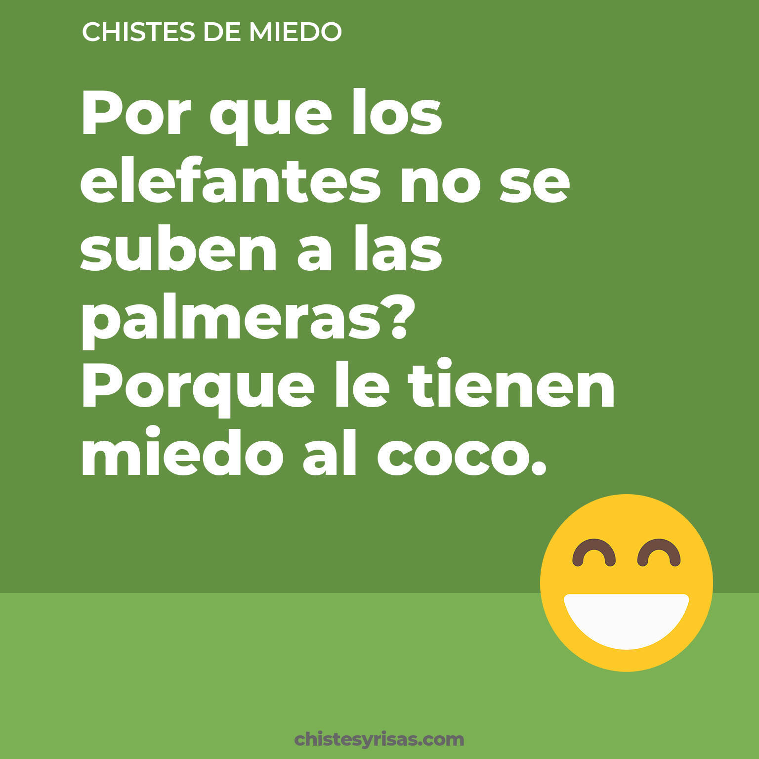 chistes de Miedo cortos