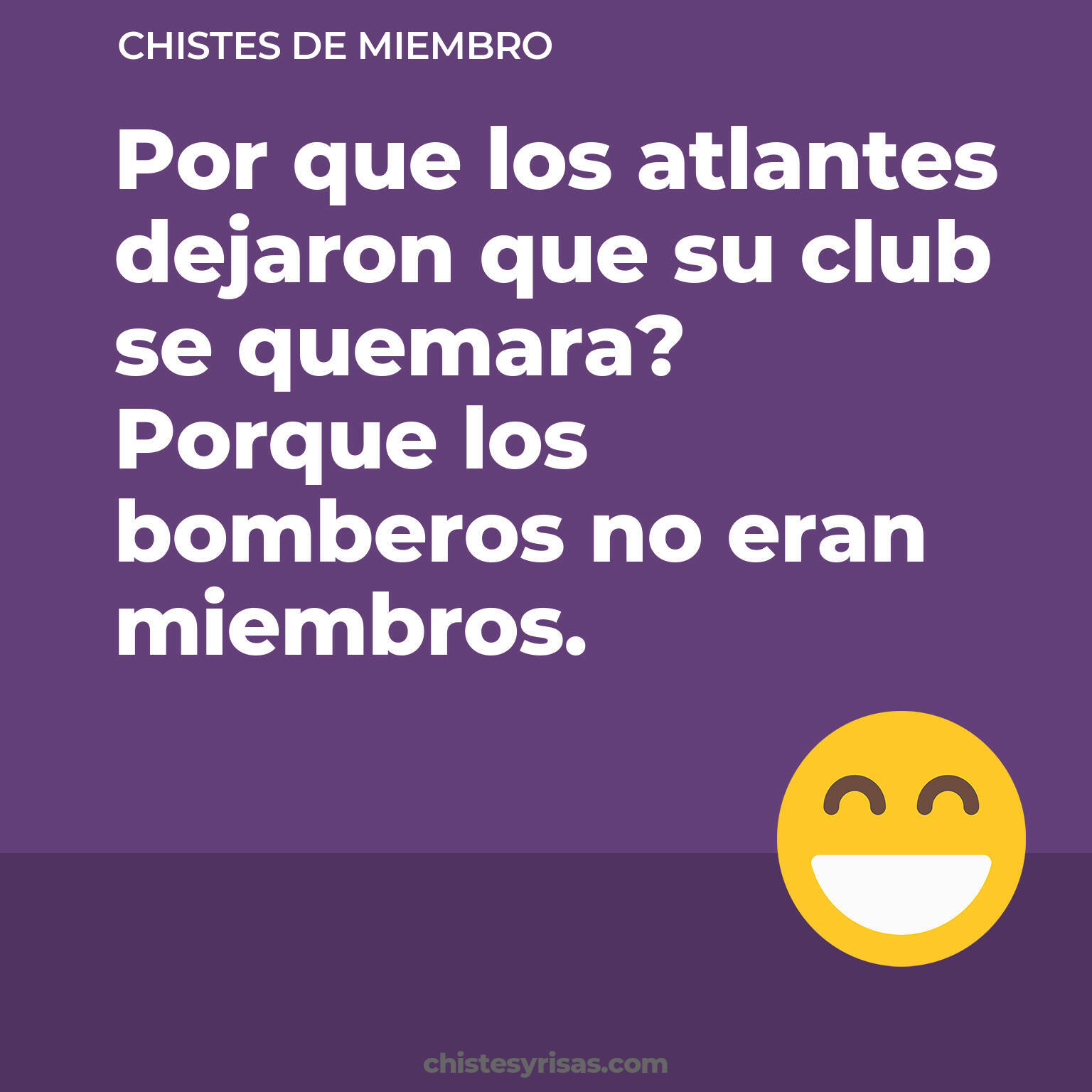 chistes de Miembro cortos