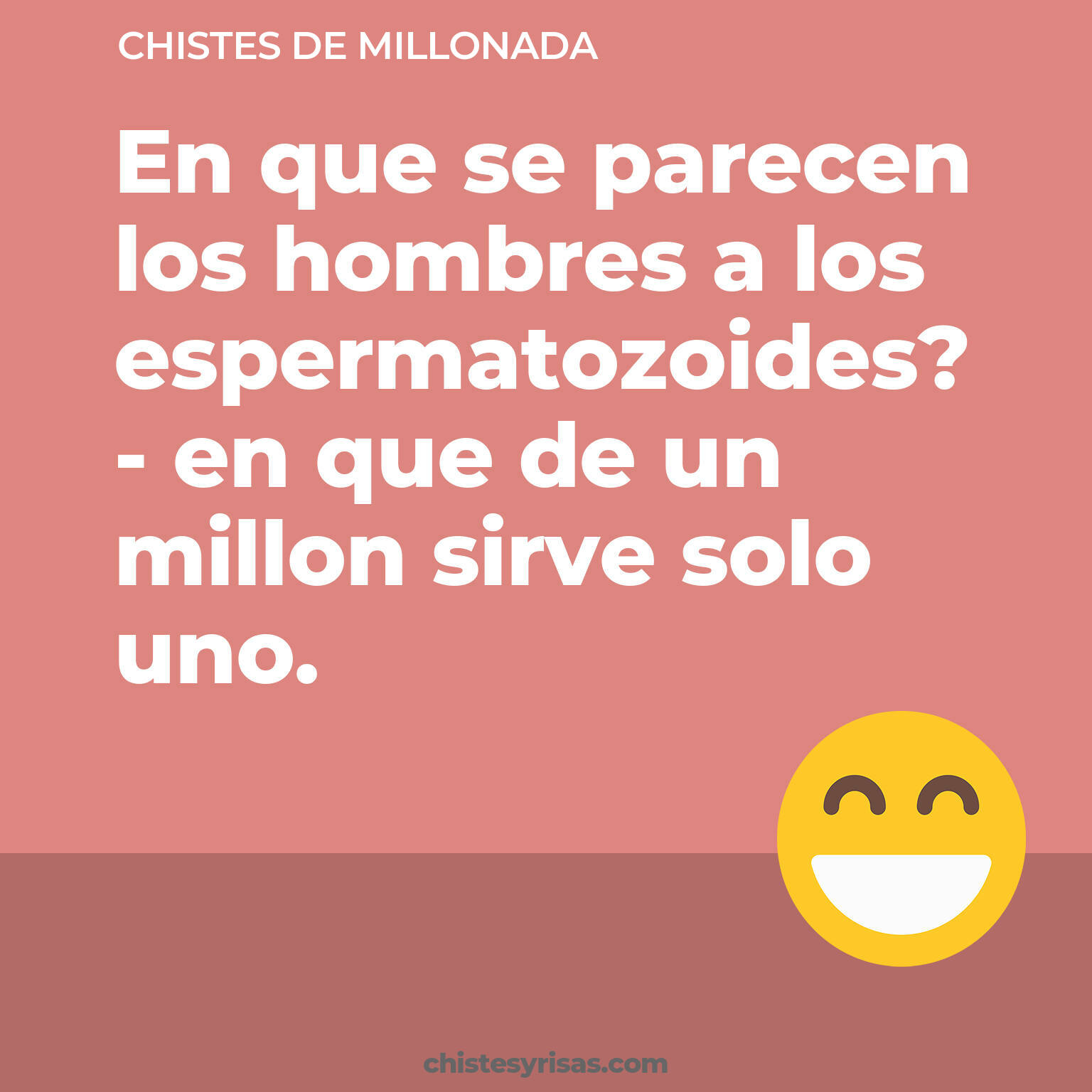 chistes de Millonada más graciosos