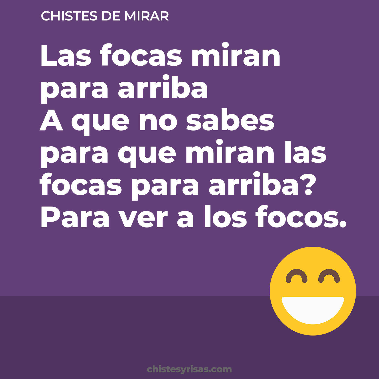 chistes de Mirar buenos foto para reir