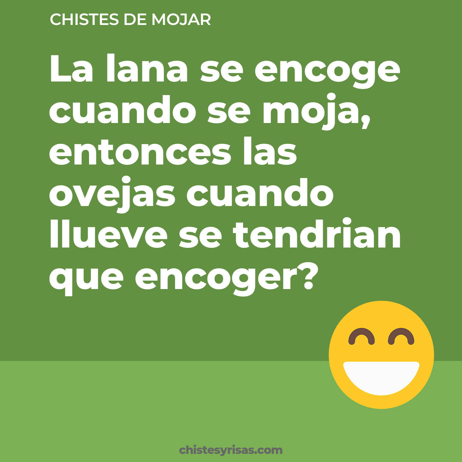 chistes de Mojar cortos