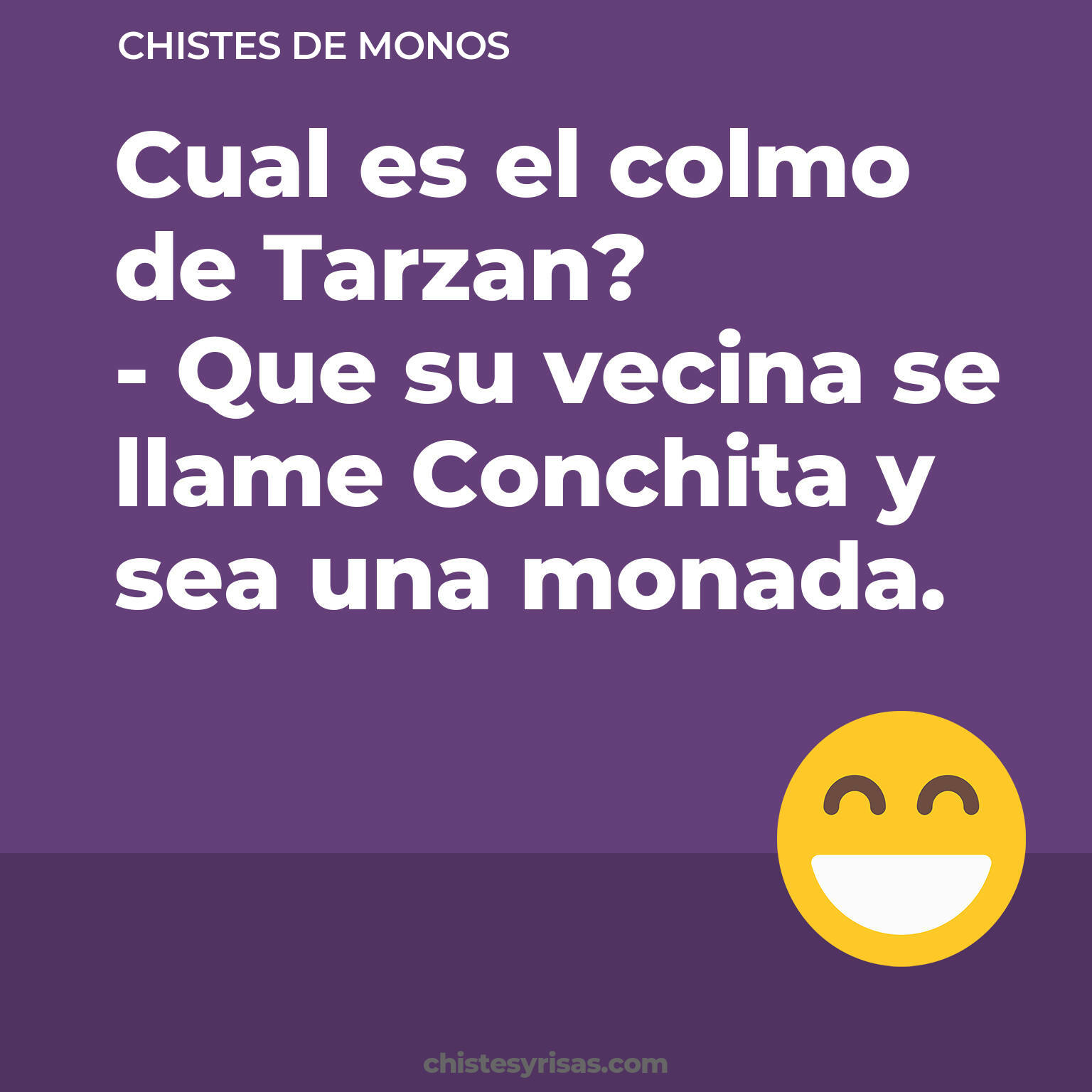 chistes de Monos buenos