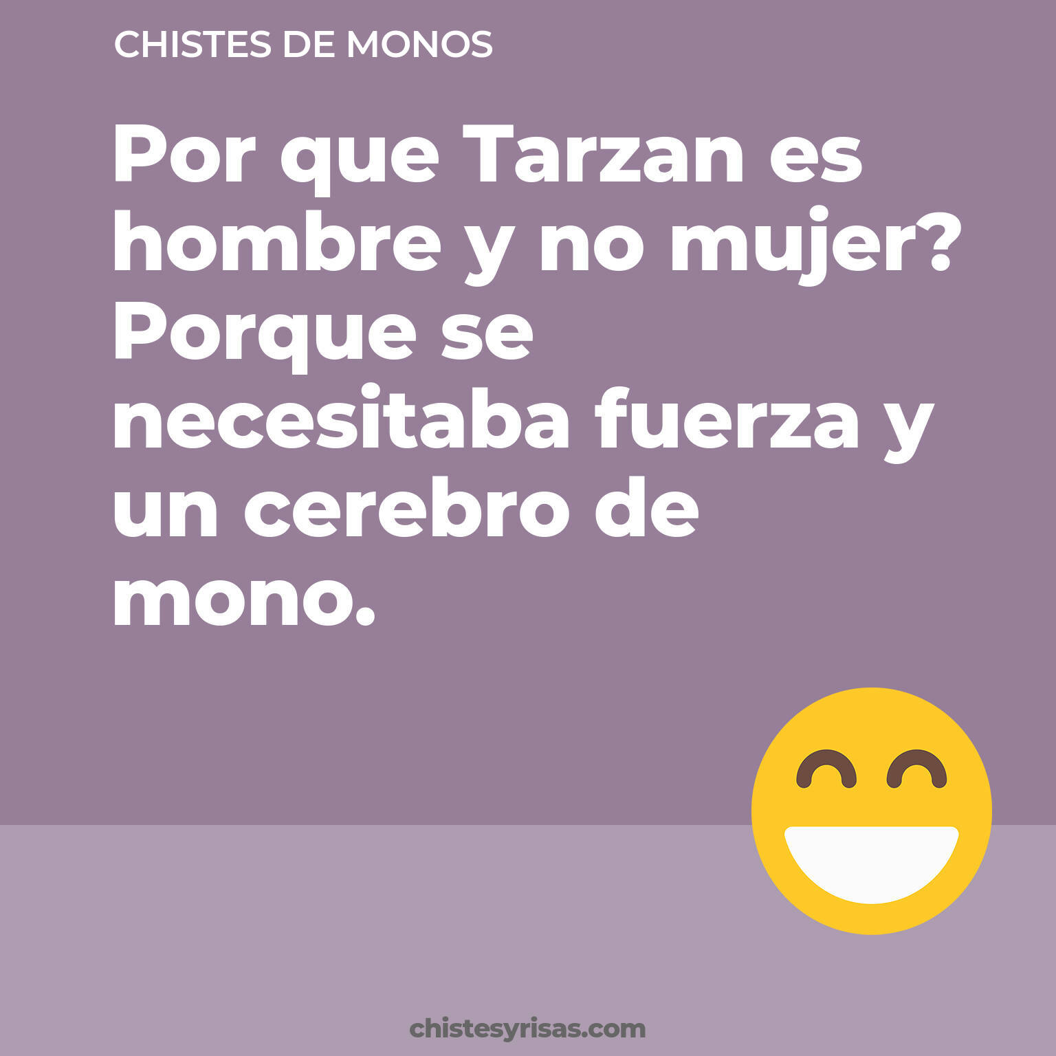 chistes de Monos cortos