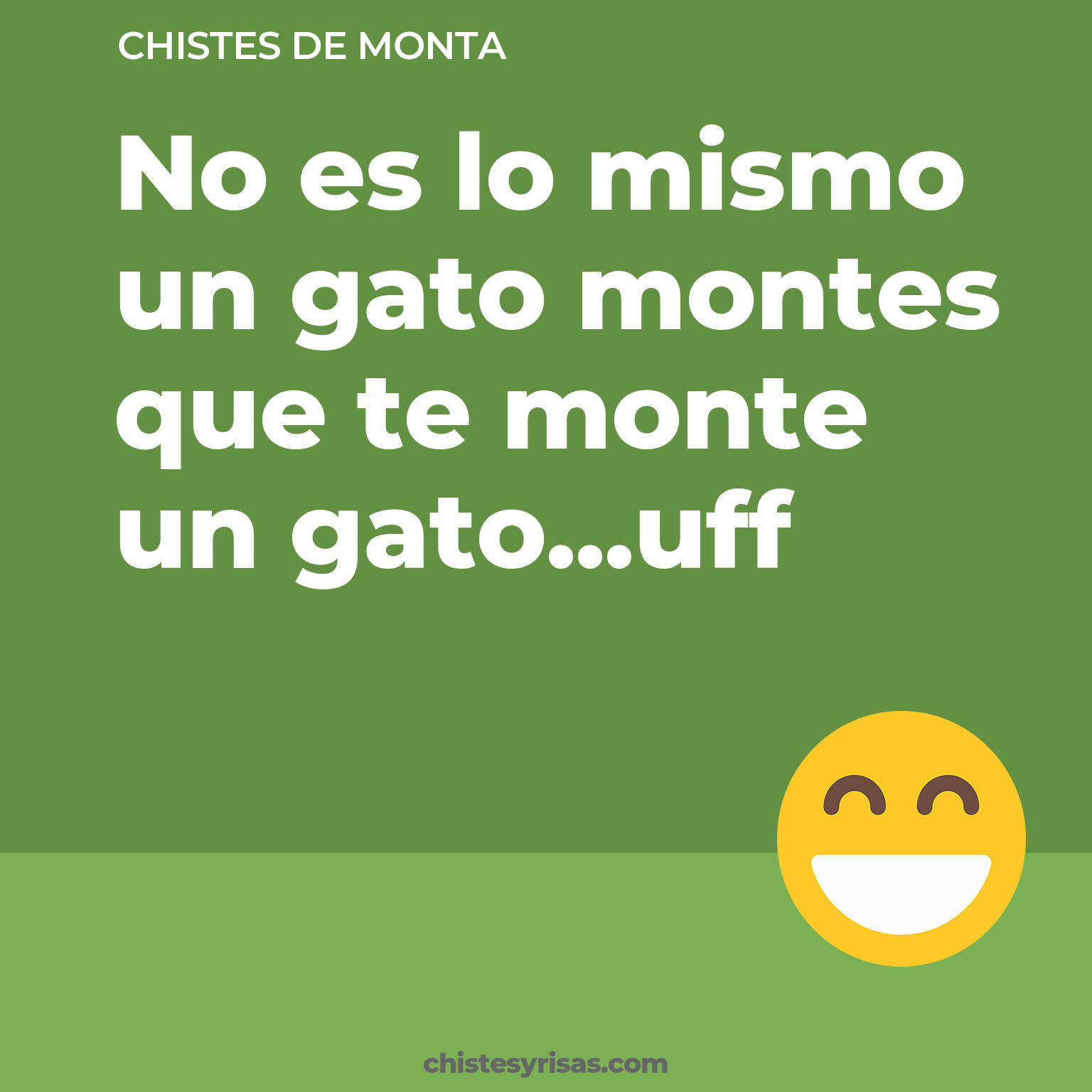 chistes de Monta más graciosos