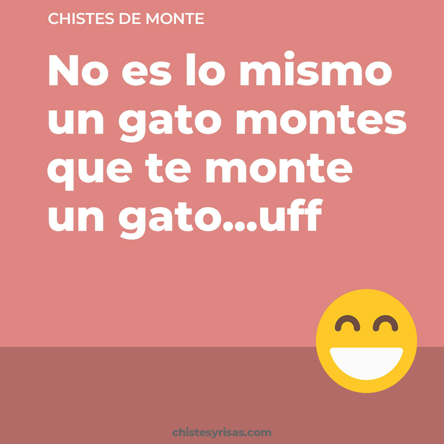 chistes de Monte más graciosos