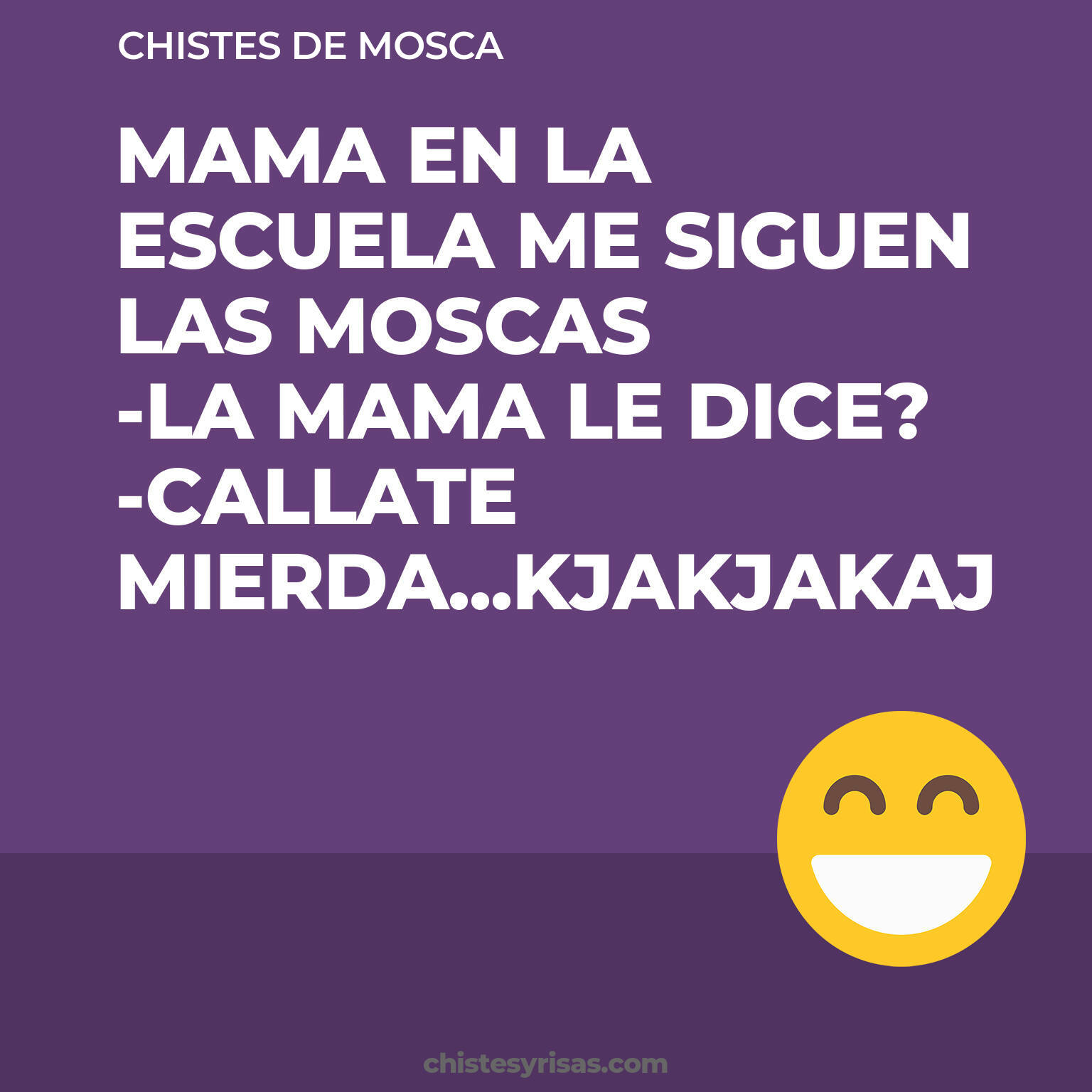 chistes de Mosca buenos