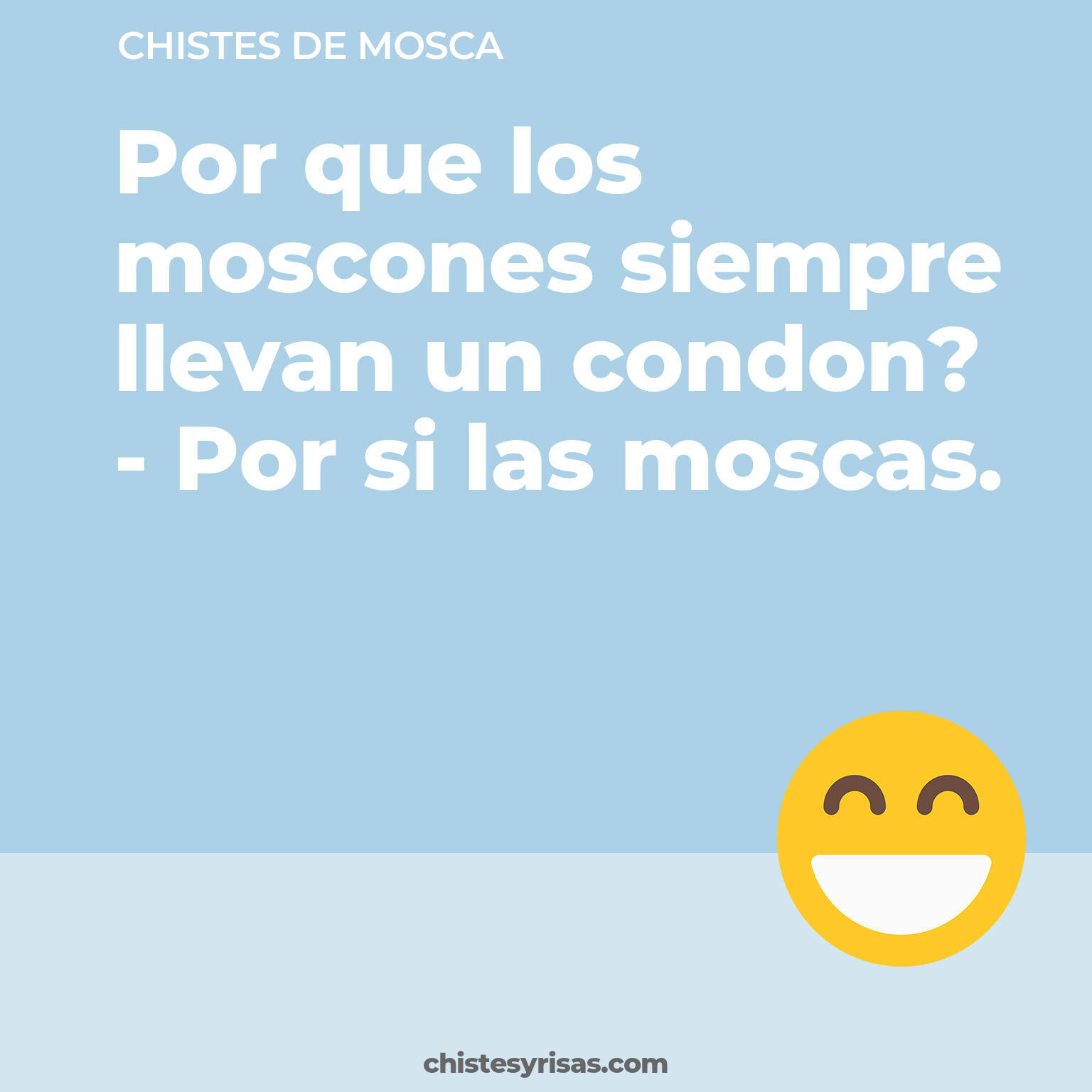 chistes de Mosca cortos