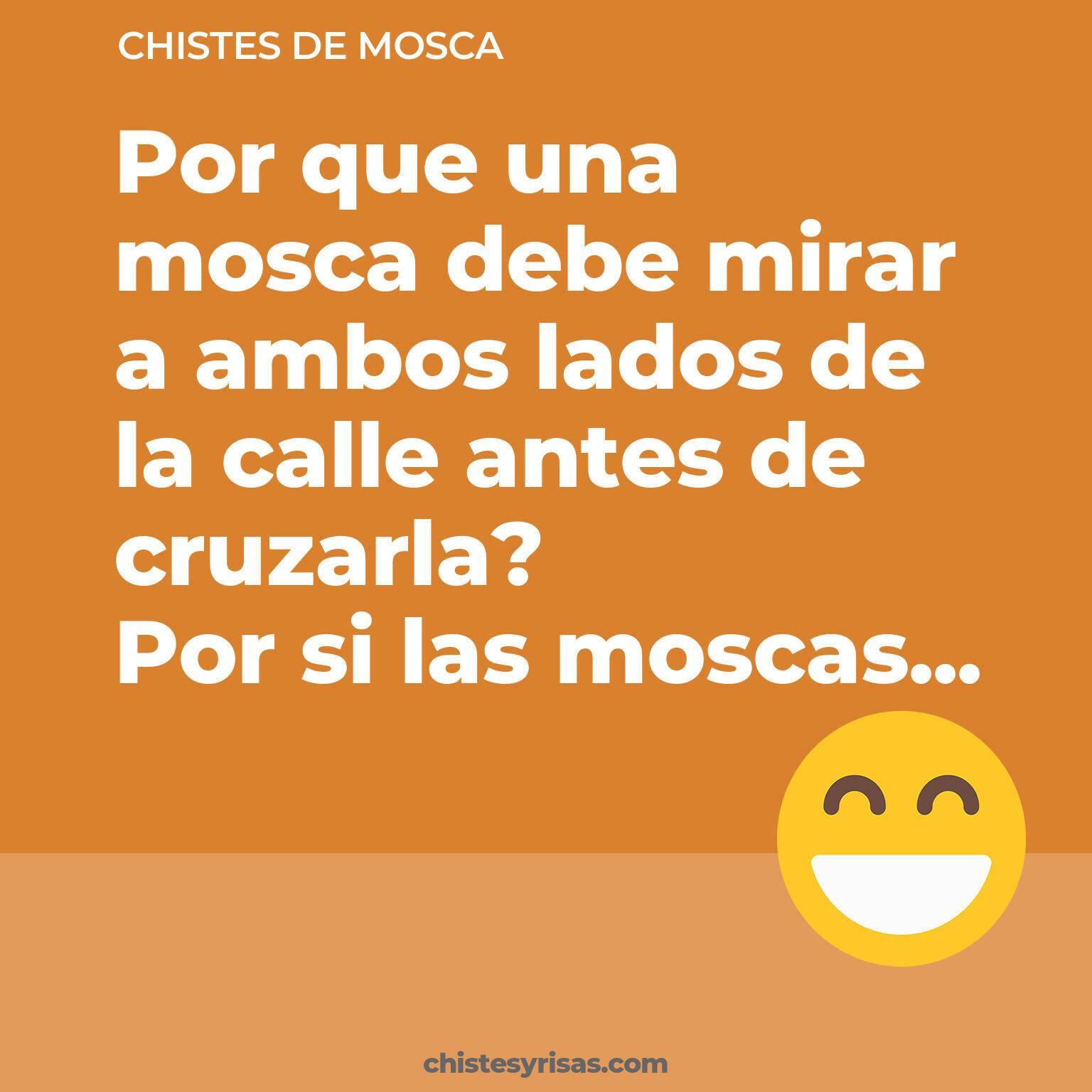 chistes de Mosca más graciosos