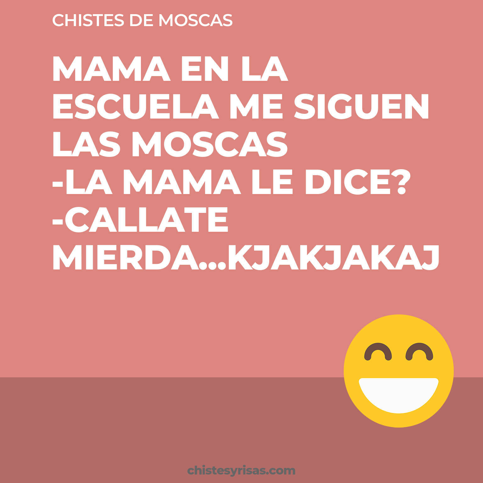 chistes de Moscas buenos