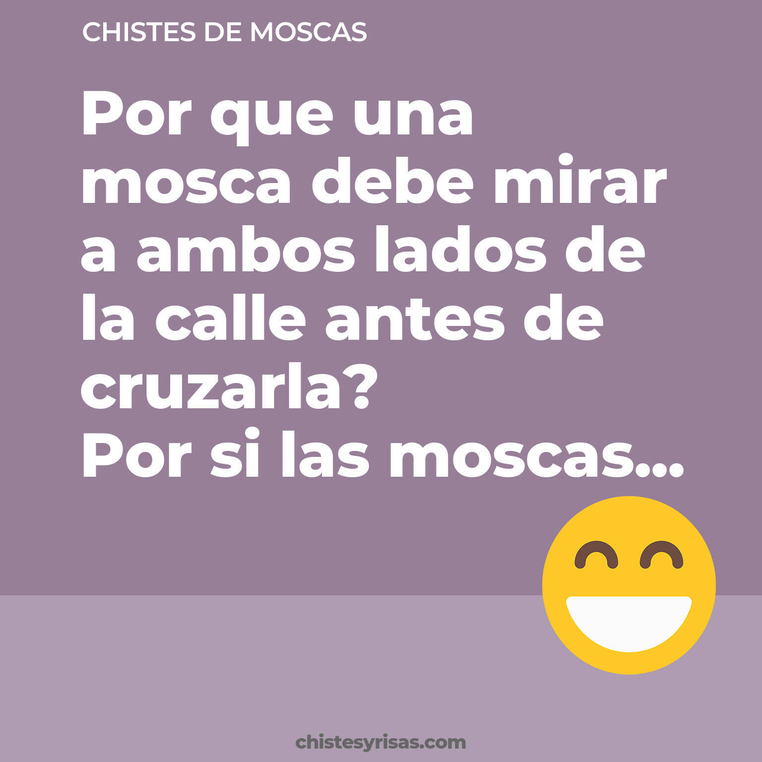 chistes de Moscas más graciosos