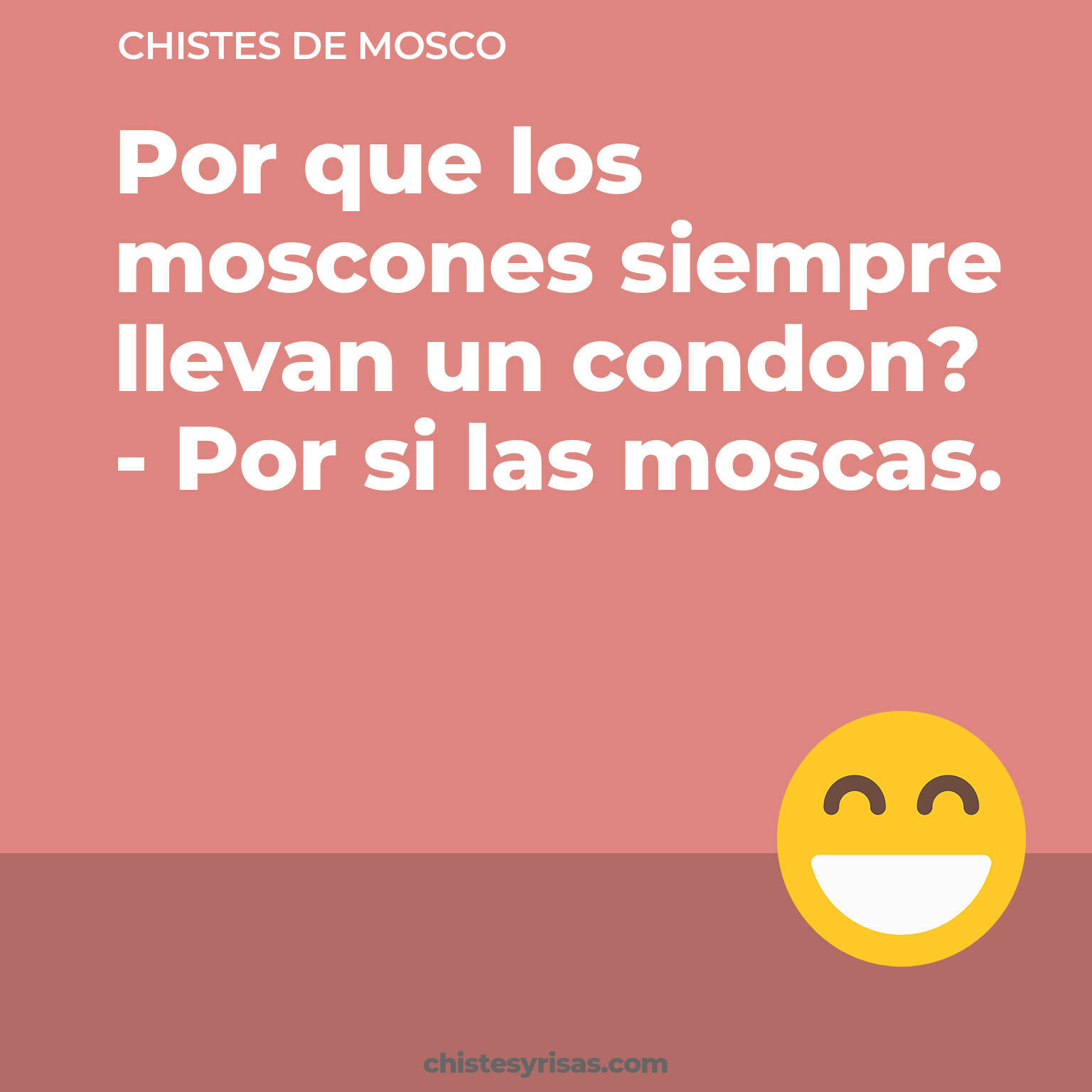 chistes de Mosco cortos