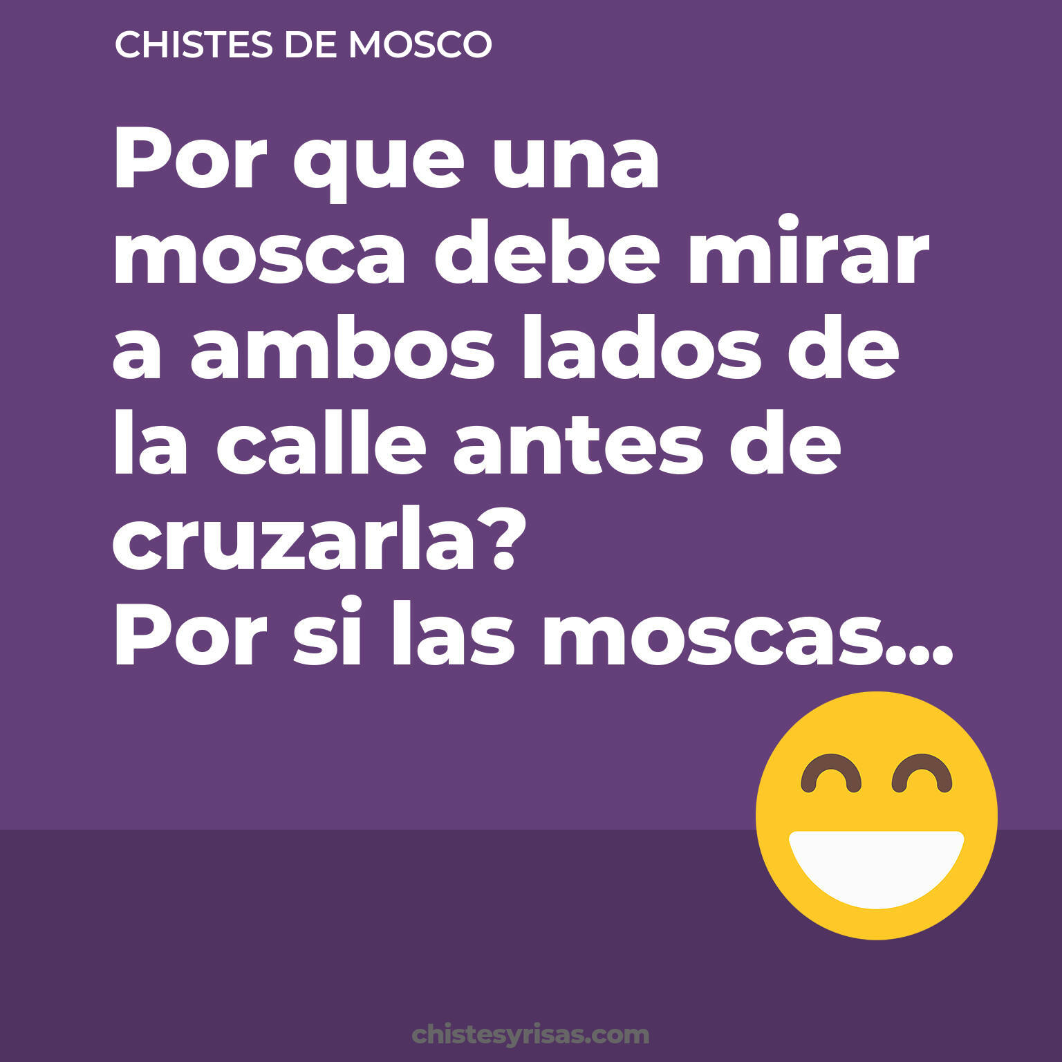 chistes de Mosco más graciosos