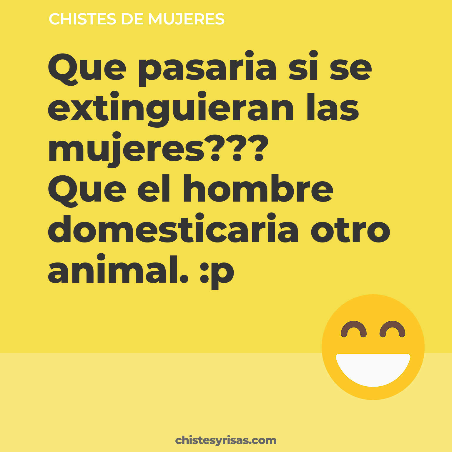 chistes de Mujeres cortos