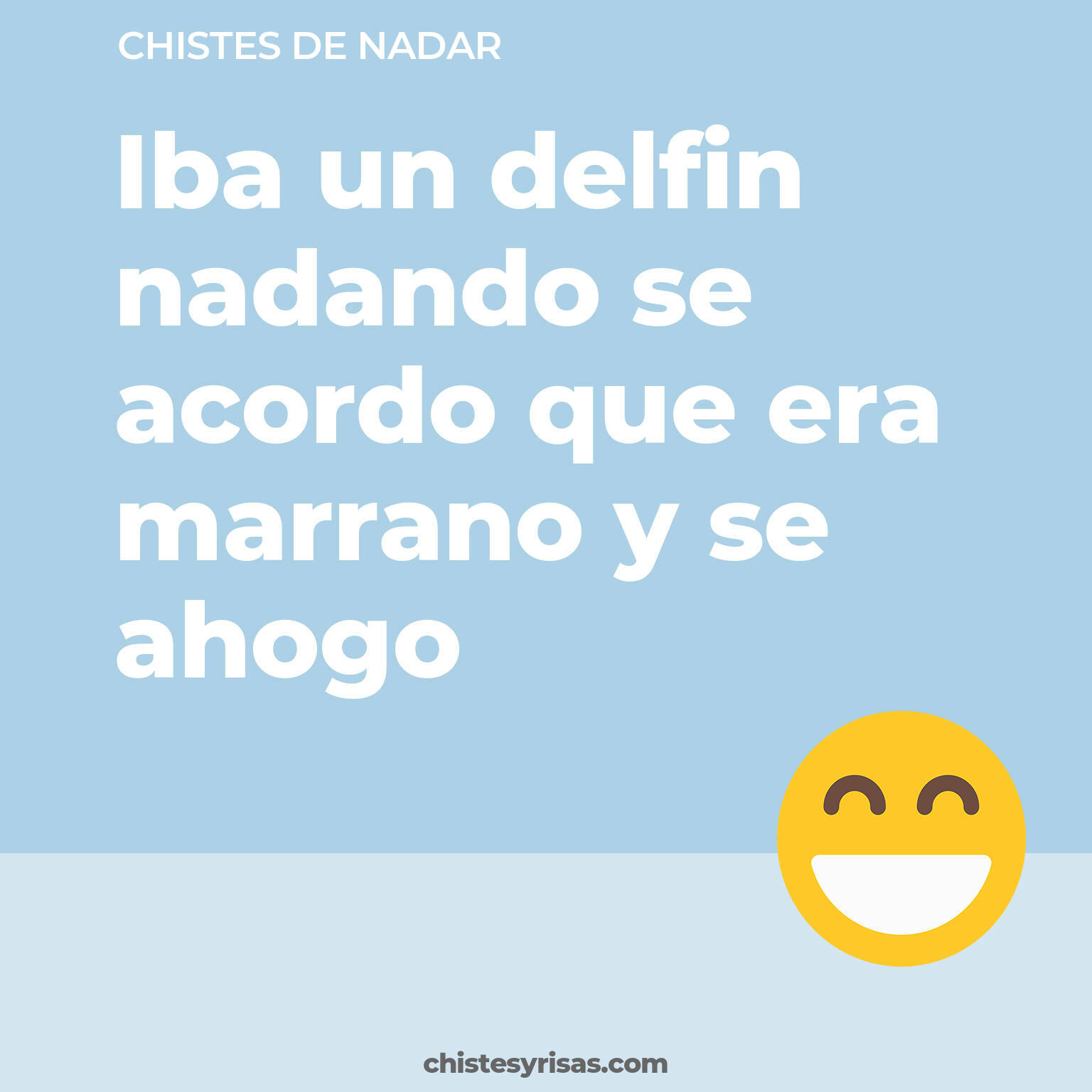 chistes de Nadar cortos