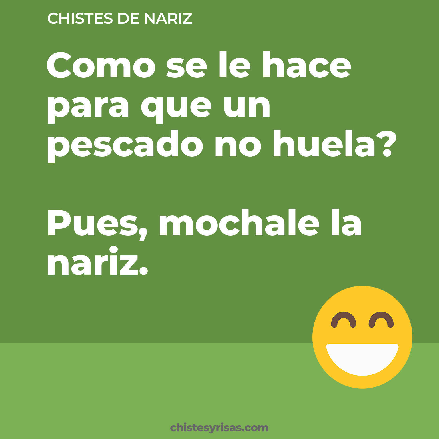 chistes de Nariz cortos