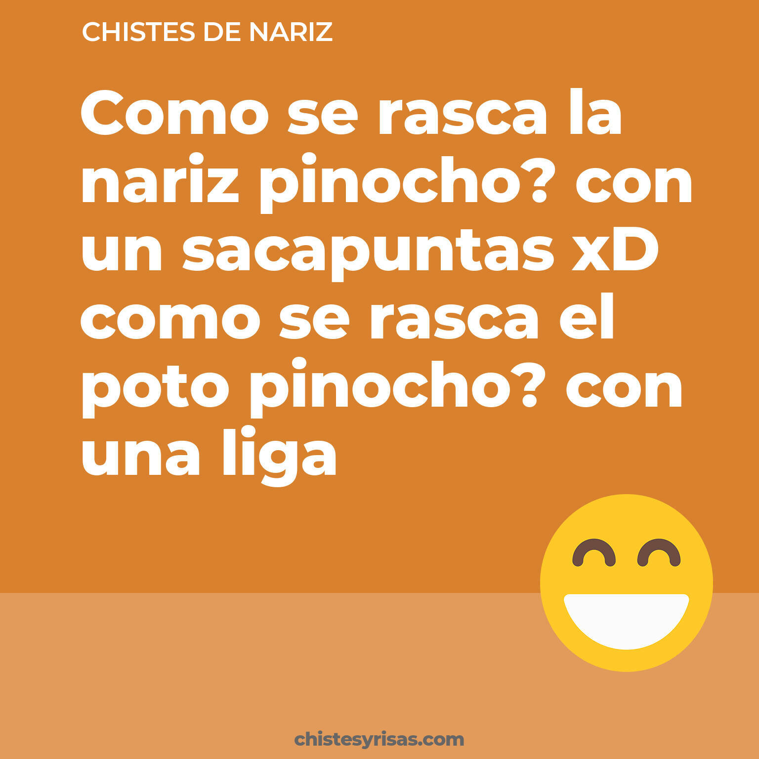 chistes de Nariz más graciosos