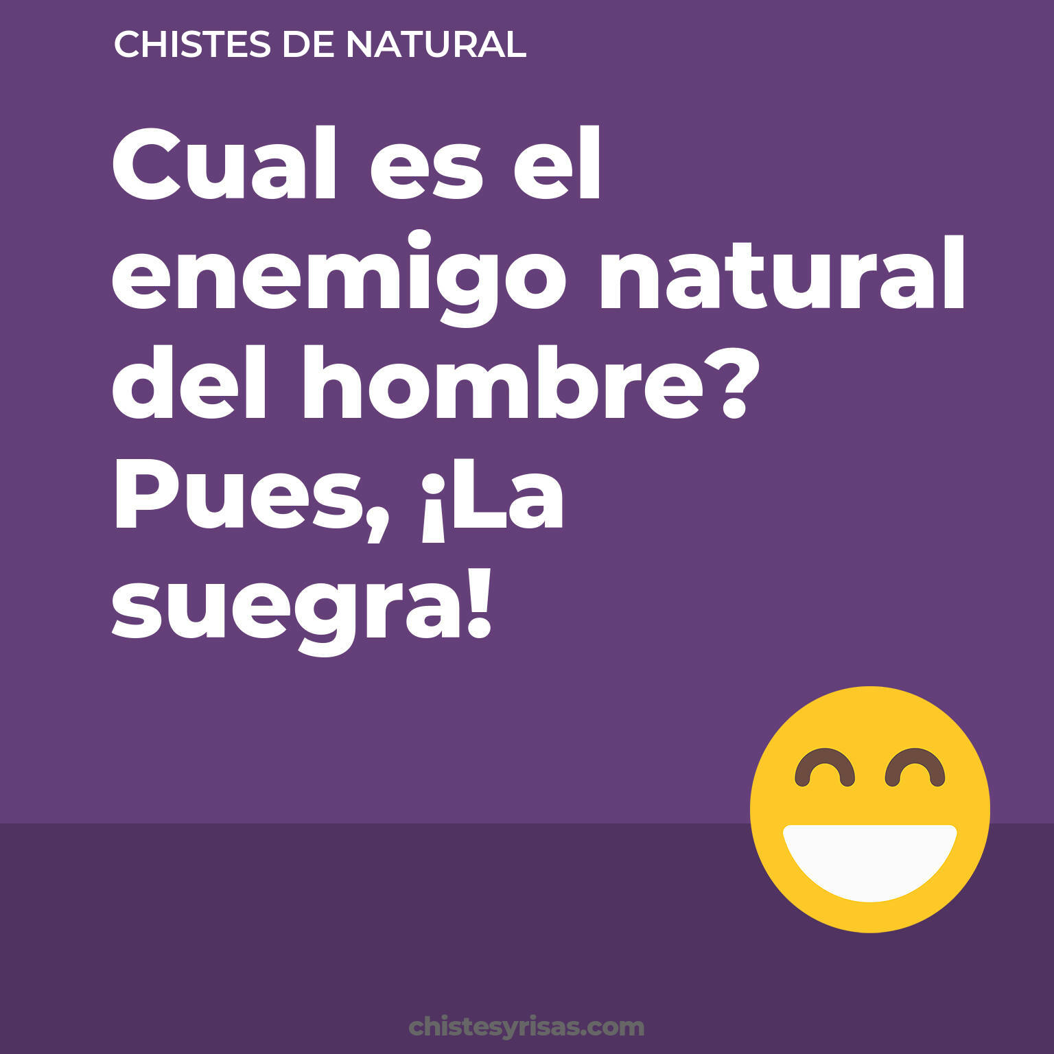 chistes de Natural cortos