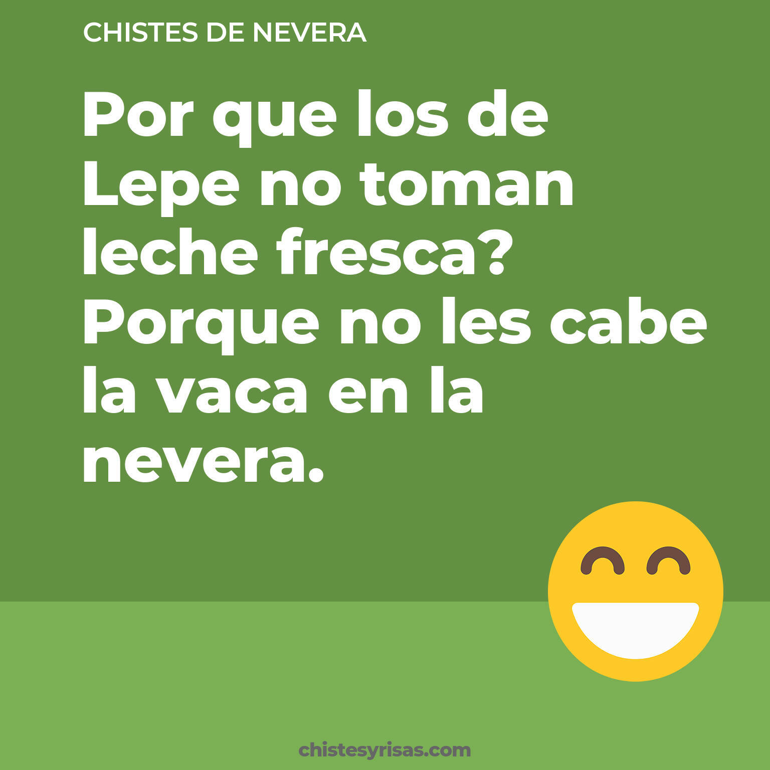 chistes de Nevera buenos