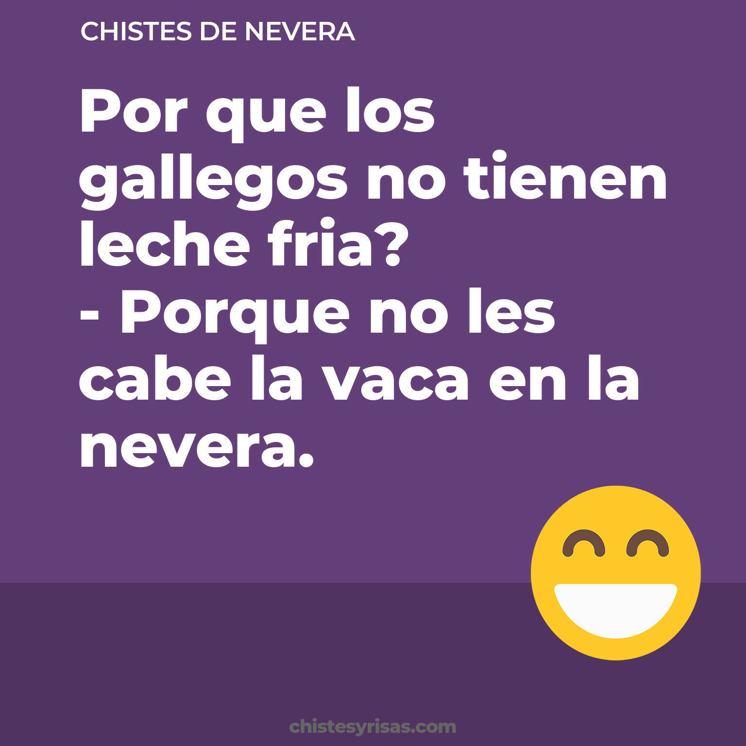 chistes de Nevera más graciosos