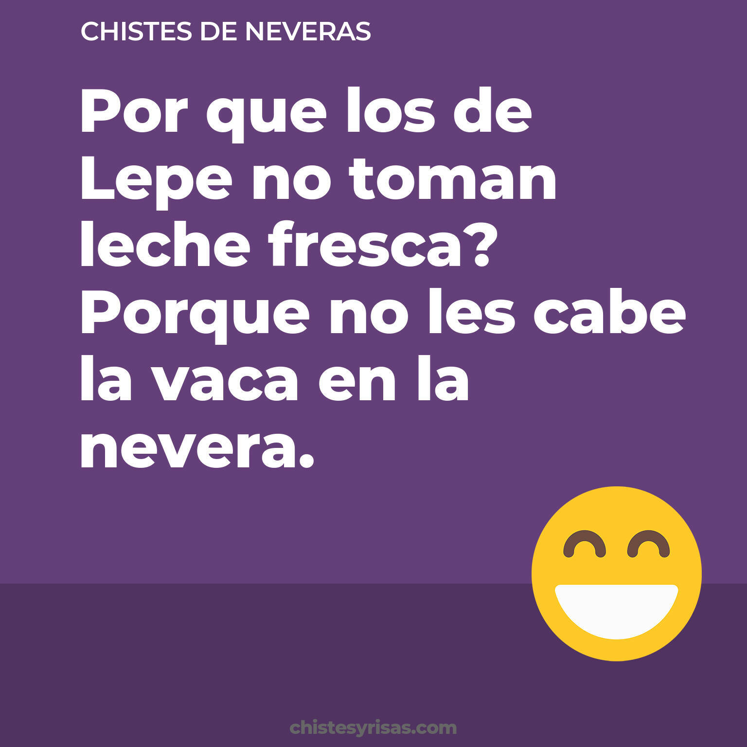 chistes de Neveras buenos