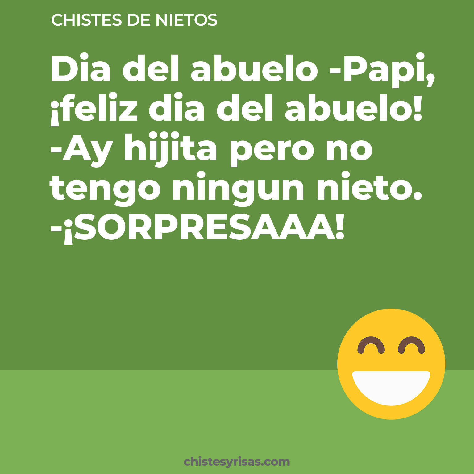 chistes de Nietos más graciosos