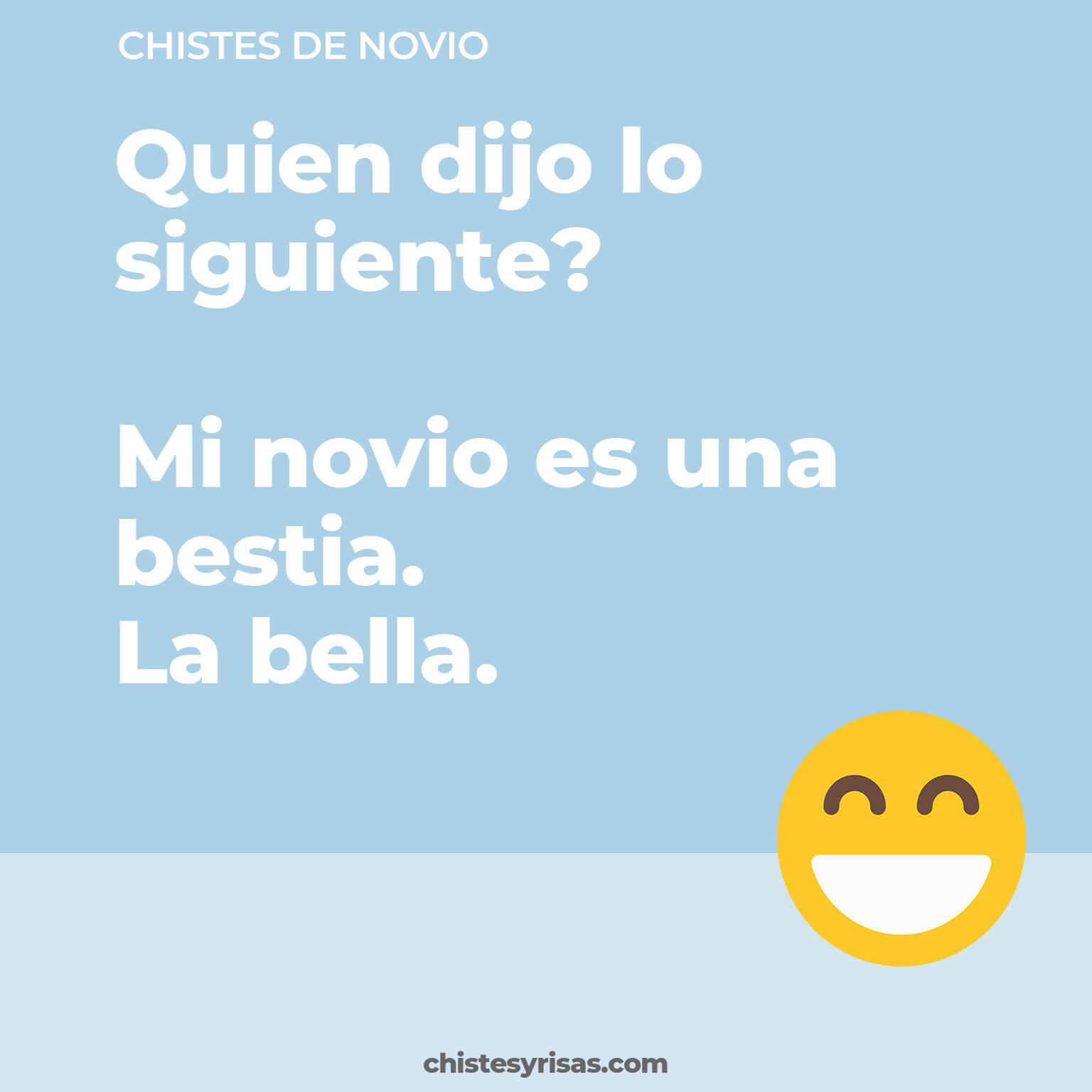 chistes de Novio cortos