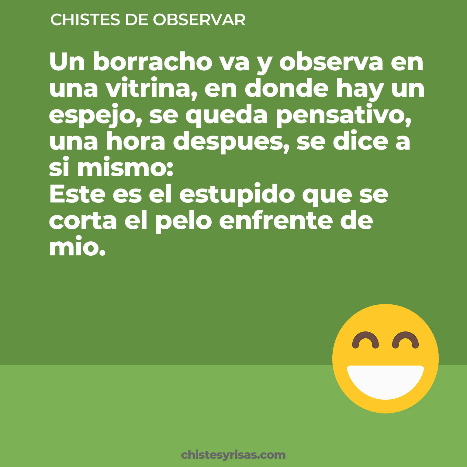 chistes de Observar cortos