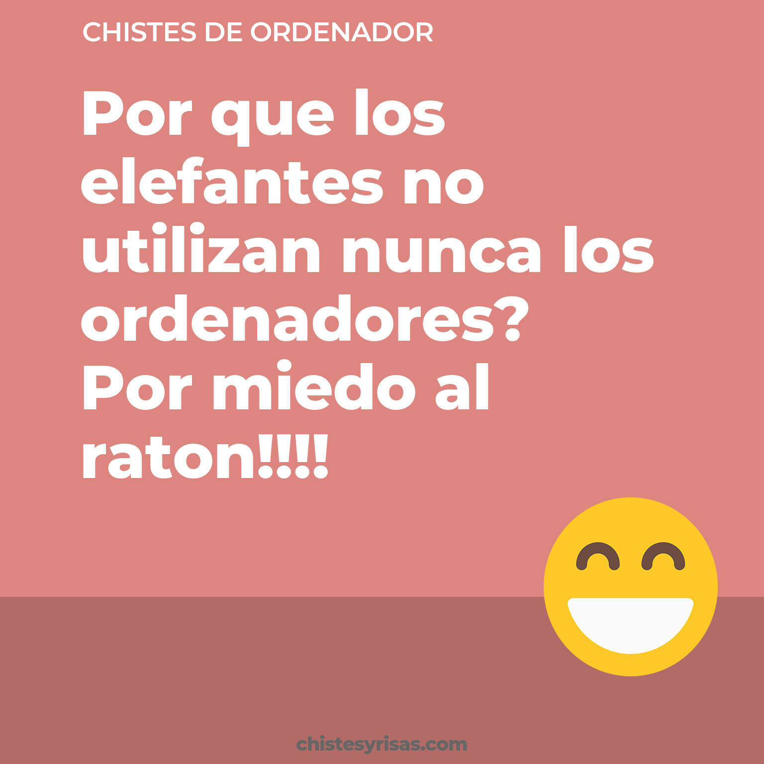 chistes de Ordenador más graciosos