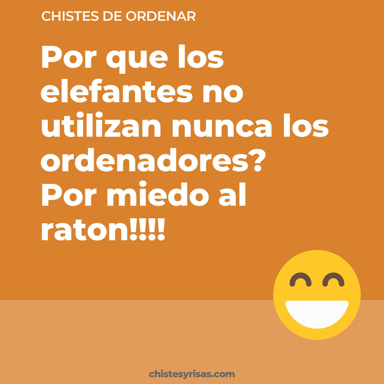 chistes de Ordenar más graciosos