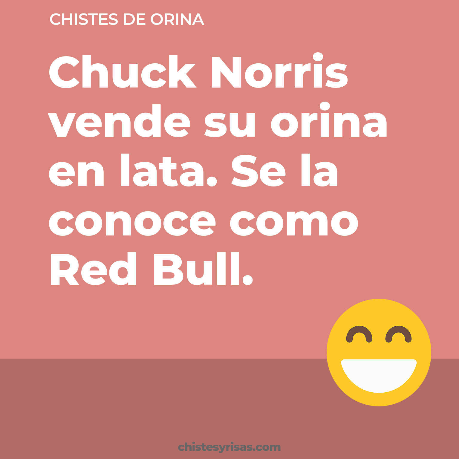 chistes de Orina cortos